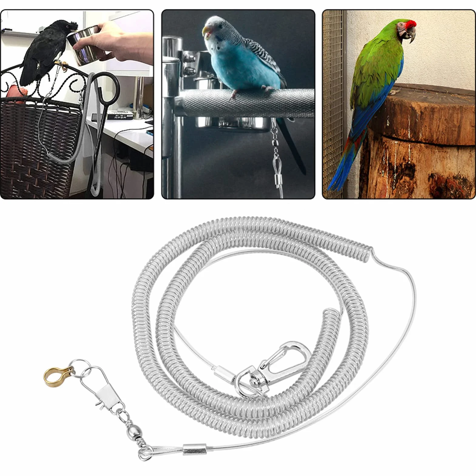 AYNEFY Parrot Bird Harness Leash, 6 M Parrot Bird zestaw smycz do treningu nimfów, Araów, szarych papug, papug, ptaków, przypadkowy kolor (8,5 mm + 6 m Flying Rope)