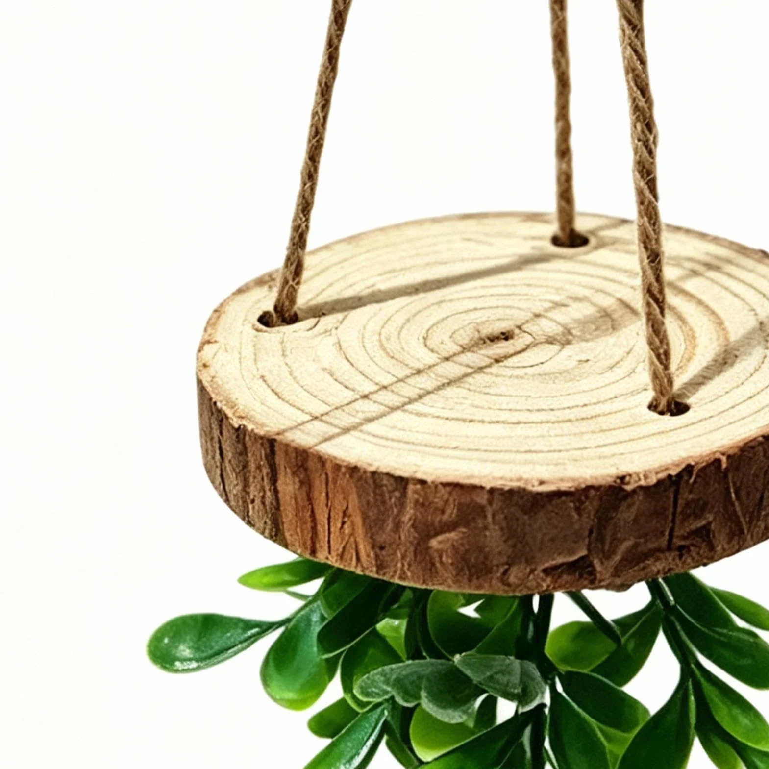 Gałąź Wspinaczkowa Do Terrarium Dekoracja Pająka Skaczącego Dla Gadów