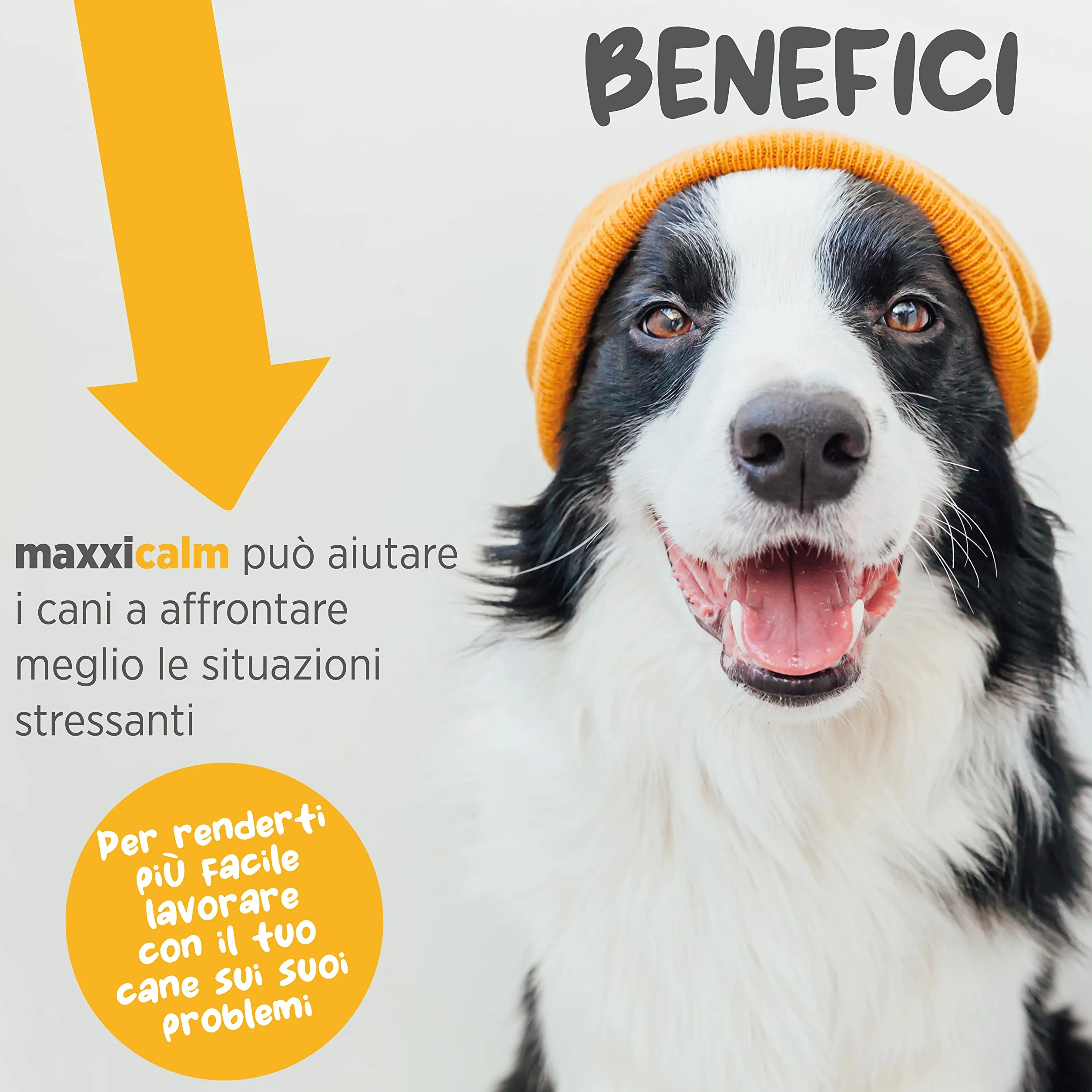 Maxxipaws Maxxicalm Naturalny suplement uspokajający dla psów 120 tabletek