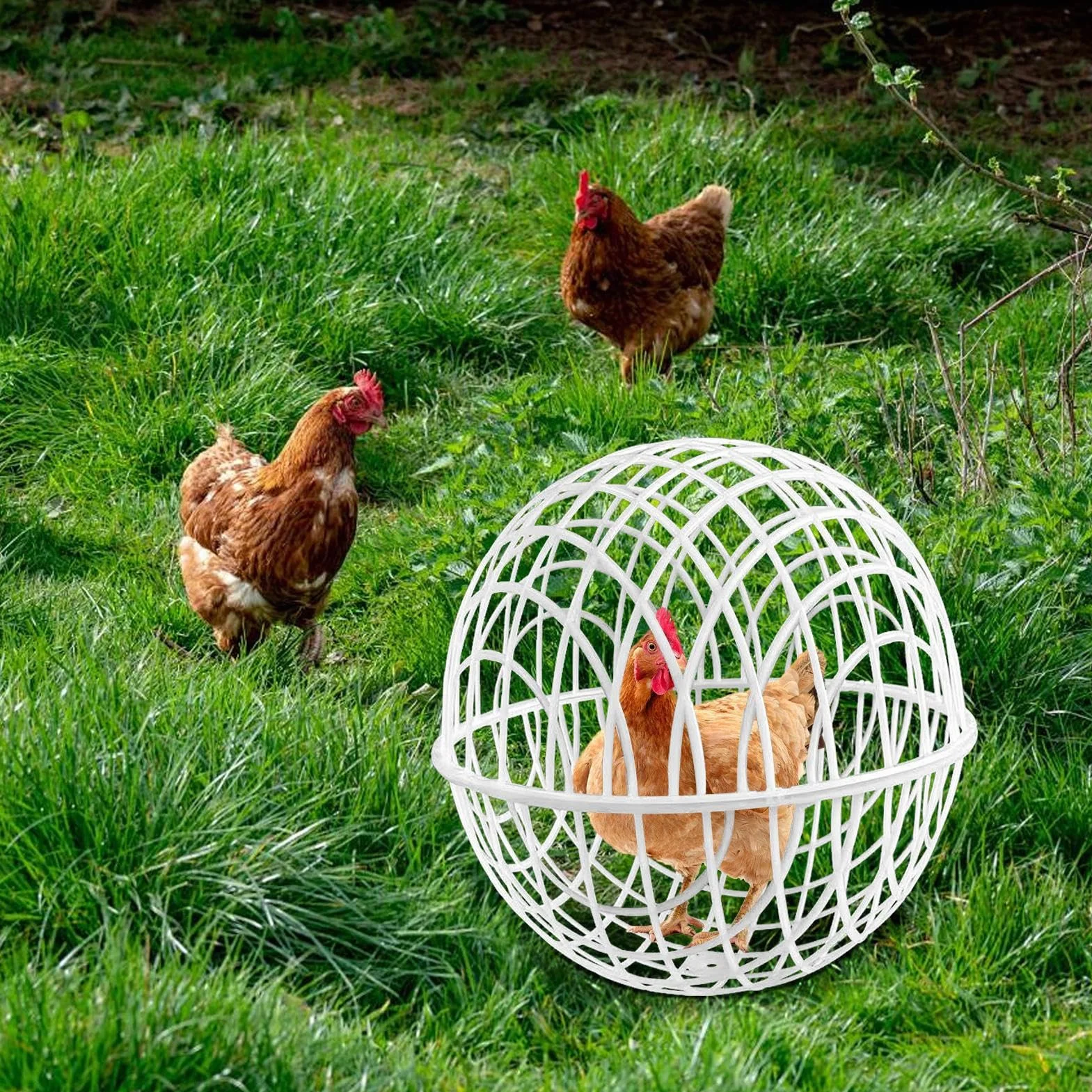 Chicken Globes for Outside Roaming - 3 Pieces Movable Chicken Cage Ball | Durable Poultry Habitat Supplies for Garden Vegetable Protection, Chickens Housing Pasture Yard Grazing Farm Free-Range Use