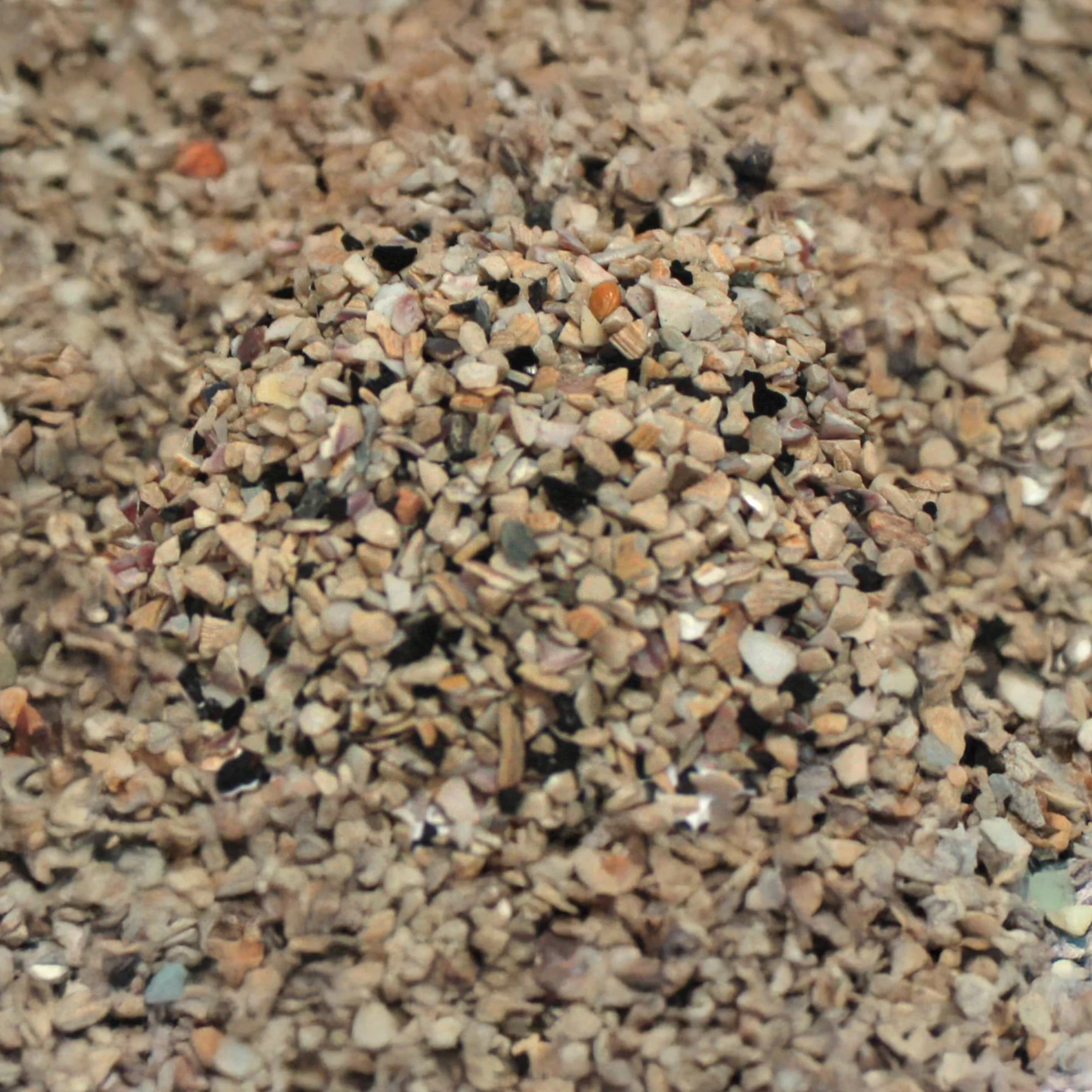 Croci Grit Carbosal 350 g - Mieszanka mineralna dla ptaków z wapniem i węglem roślinnym, z muszlami ostryg, wspomaga trawienie, dla kanarków, papug i ptaków egzotycznych