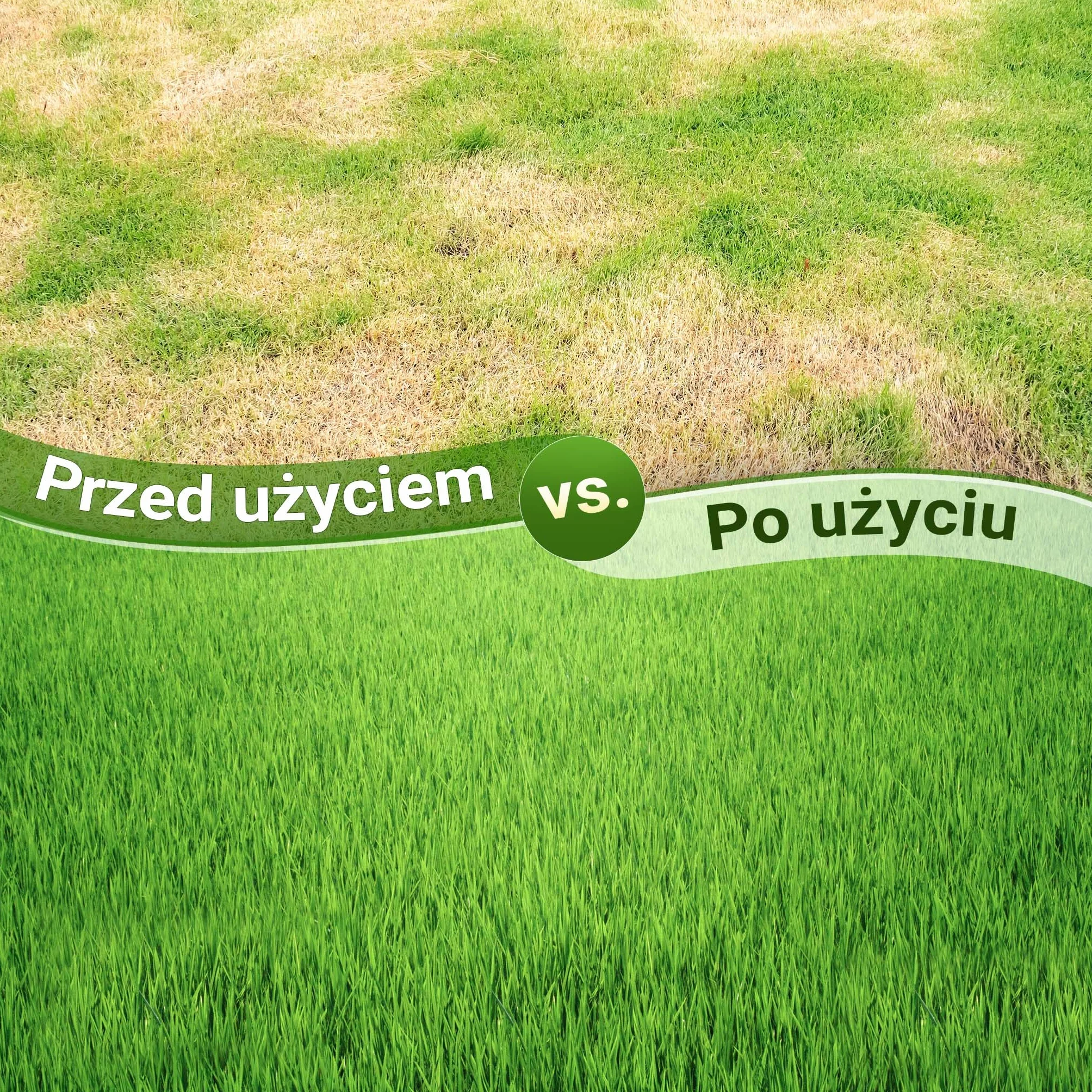 Wiltec Wertykulator do trawnika o szerokości roboczej 40 cm i głębokości 6,4 cm, czarny aerator ręczny z 5 stalowymi tarczami kolczastymi do napowietrzania