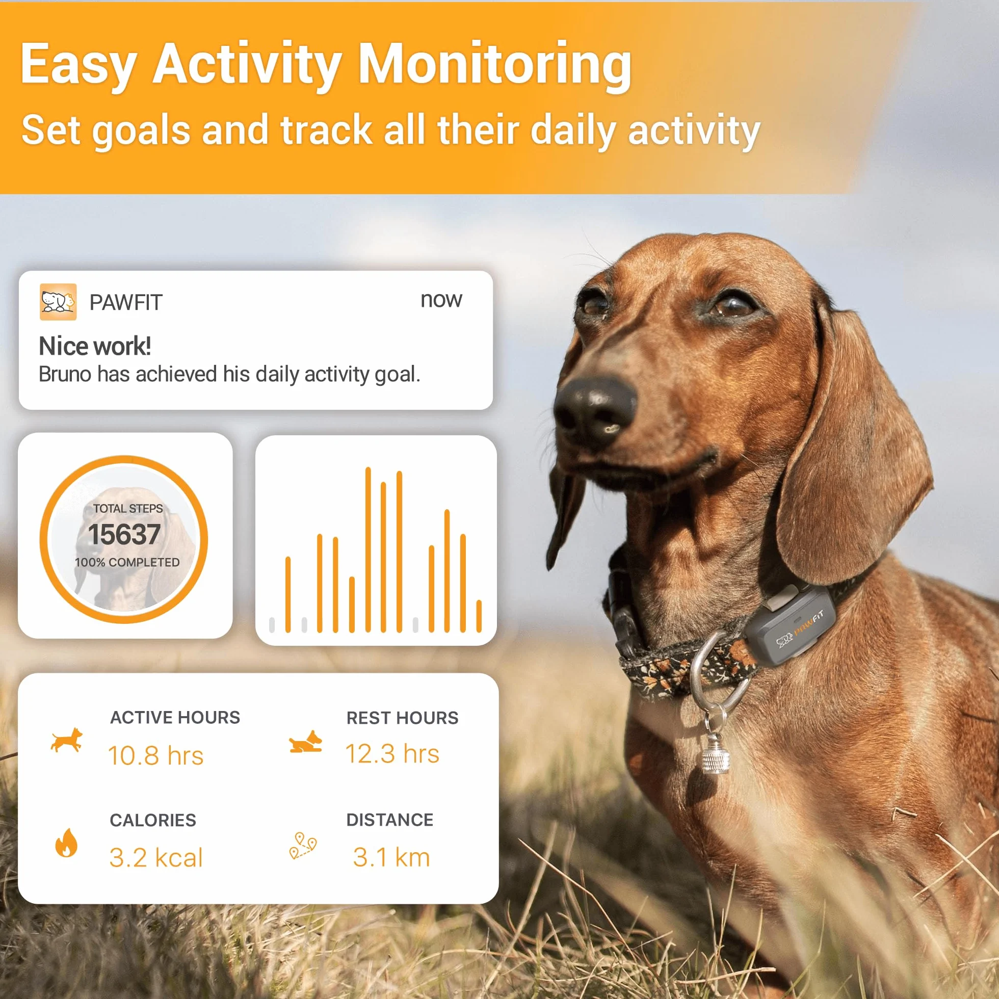 Pawfit Lite for Dogs 4g lokalizator GPS | śledzenie w czasie rzeczywistym | monitorowanie aktywności | historia lokalizacji | nieograniczony zasięg | obroża bezpieczeństwa w zestawie | liliowy szary