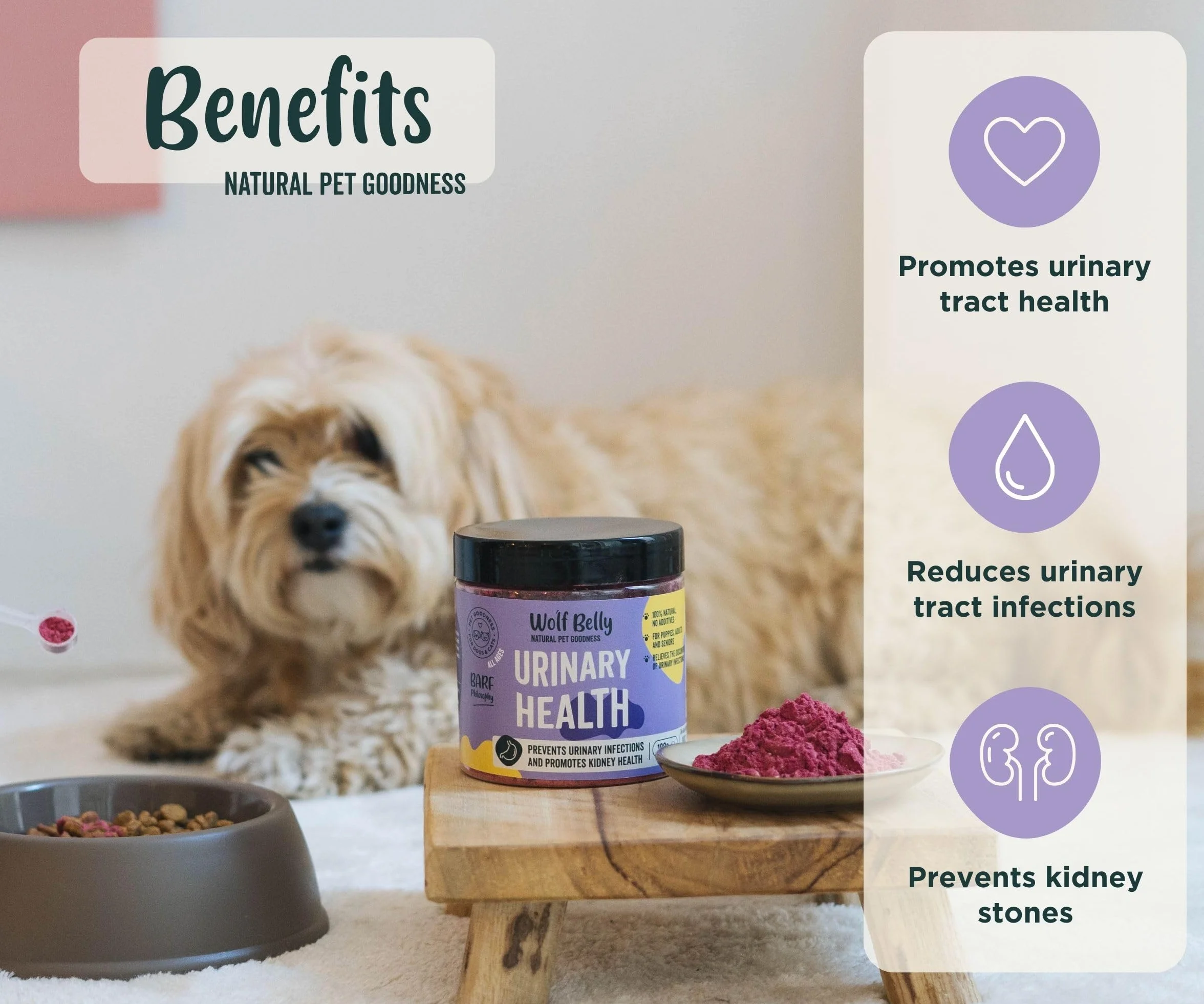 Wolf Belly Urinary Health Suplement przeciwzapalny 180g dla psów i kotów