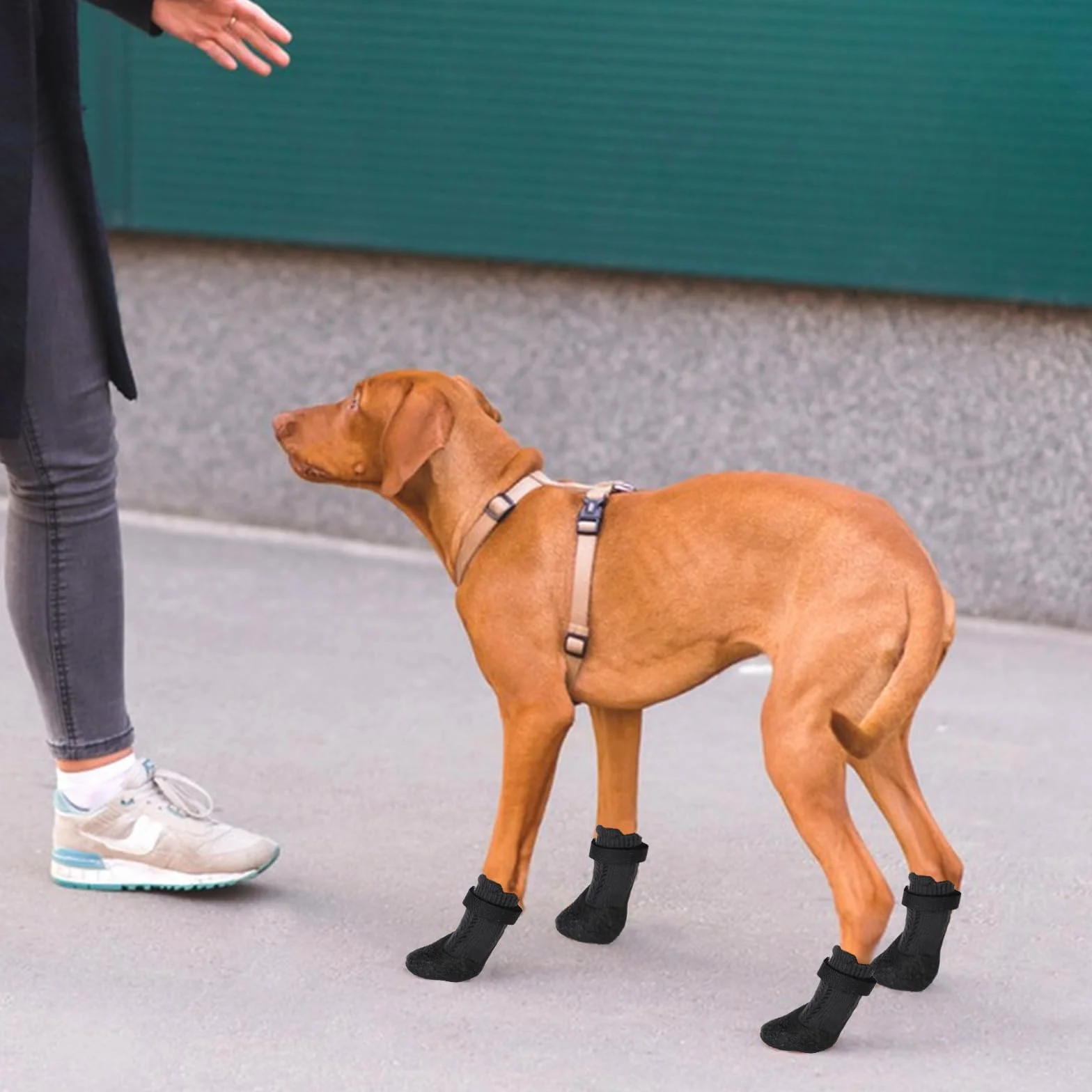 Buty dla psów oddychające antypoślizgowe szer. 4,9 cm L