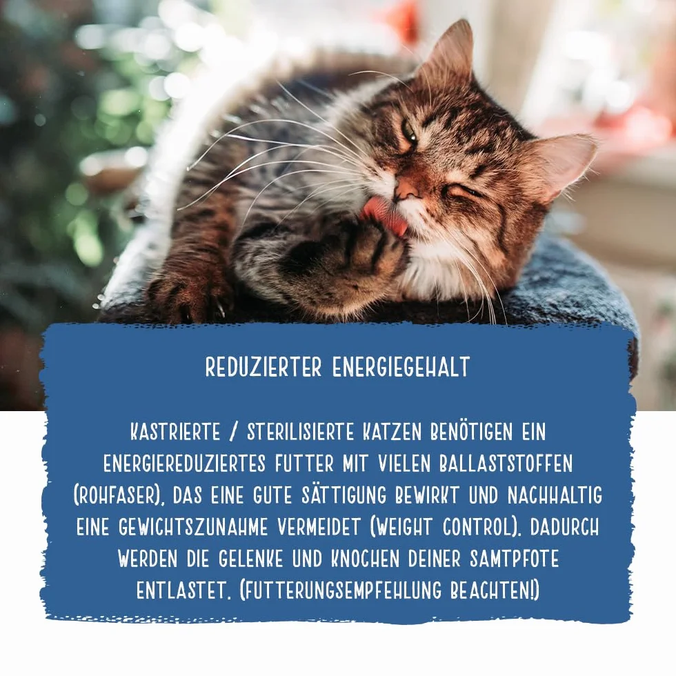 Bosch Chicopee HNL Sterilized sucha karma dla kotów 8 kg kanadyjska receptura Made in Germany
