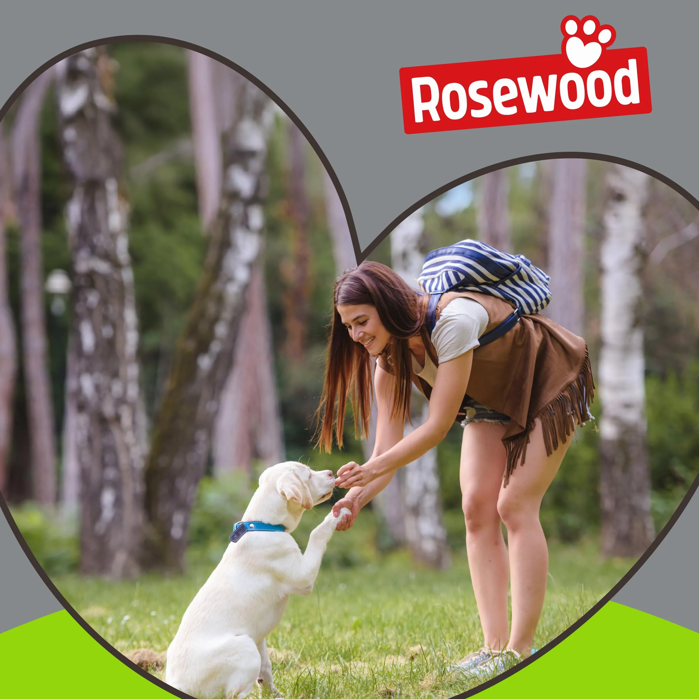Rosewood Walk 'n Train Dog Training Halter obroża głowy mała