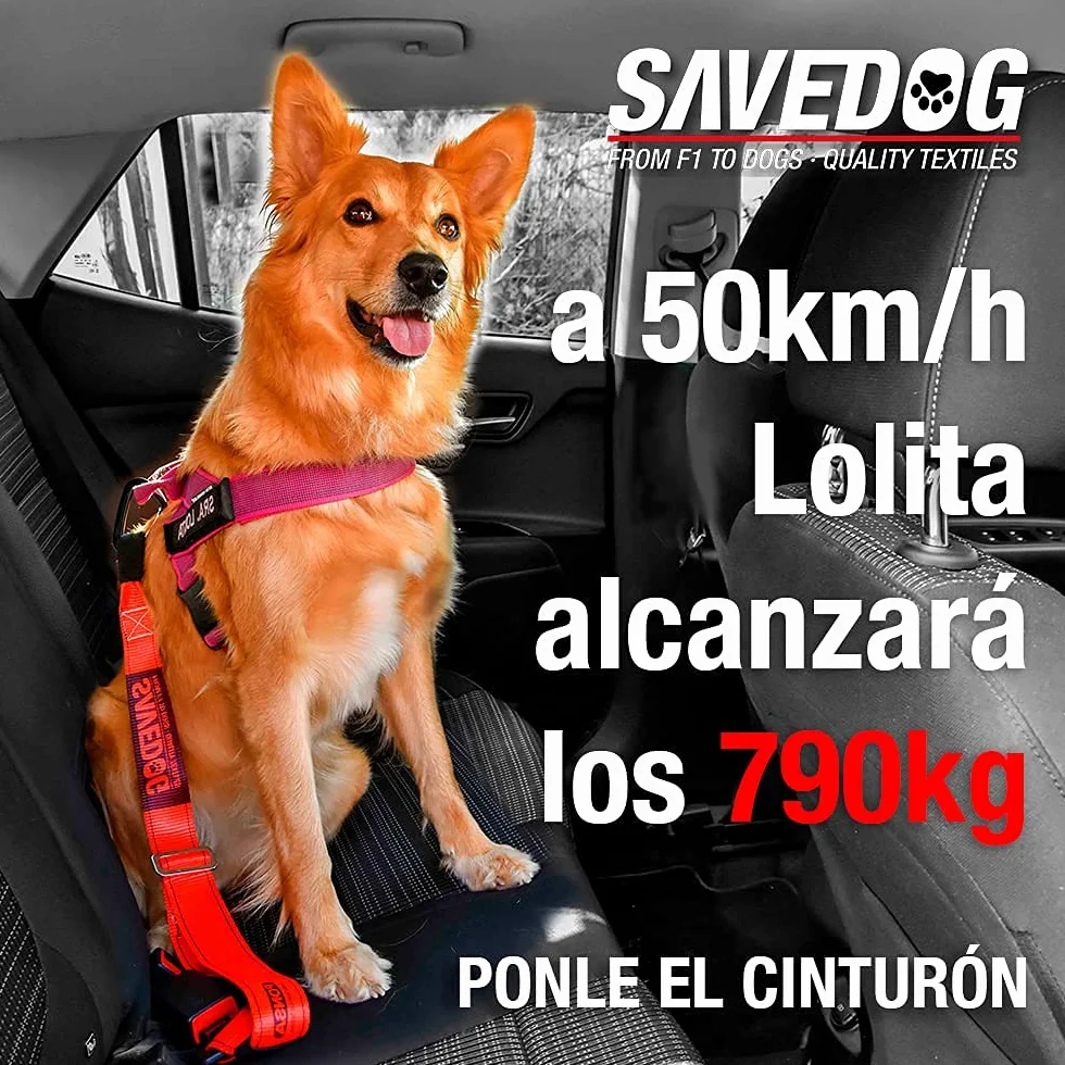 PONSA SAVEDOG. Pas bezpieczeństwa dla psów. Najbezpieczniejszy pas na rynku. Nośność 1000 kg. Spełnia wymagania ISO 27955:2010. Ref.027172050102