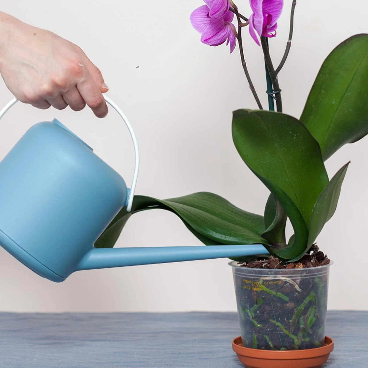 Kompost do doniczek z orchideami 4L, Kompost z kory orchidei i perlitu, Najwyższej jakości medium do doniczek, przesadzania, poprawionej drenażu, przepływu powietrza i wentylacji korzeni