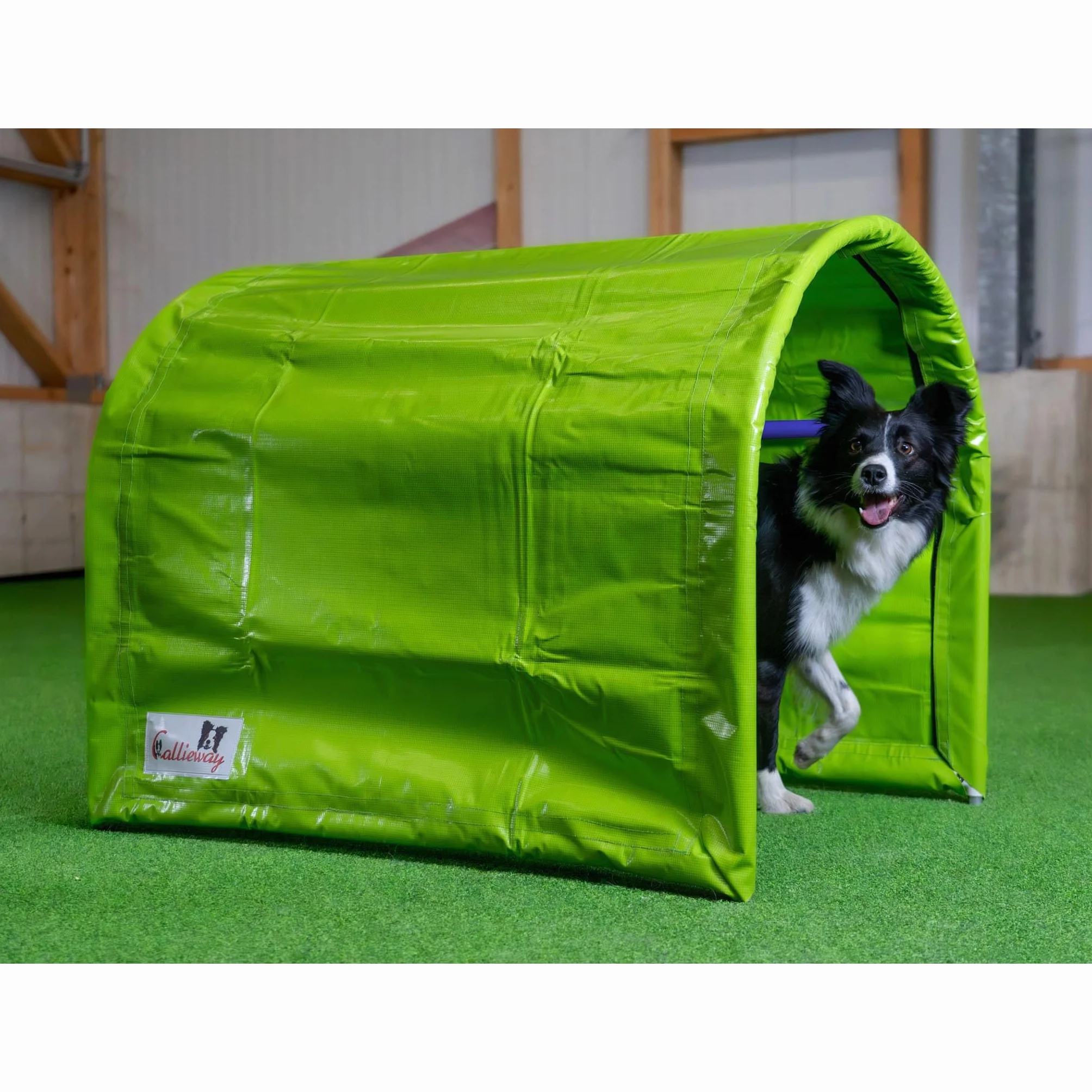 Callieway® BOLO-des Alpes Hoopers-Tunnel dwupak – bezpodłogowy i stabilny, 2 x 1 m, aluminiowa rama i promieniowanie UV, trening zwinności dla psów, limonkowa zieleń