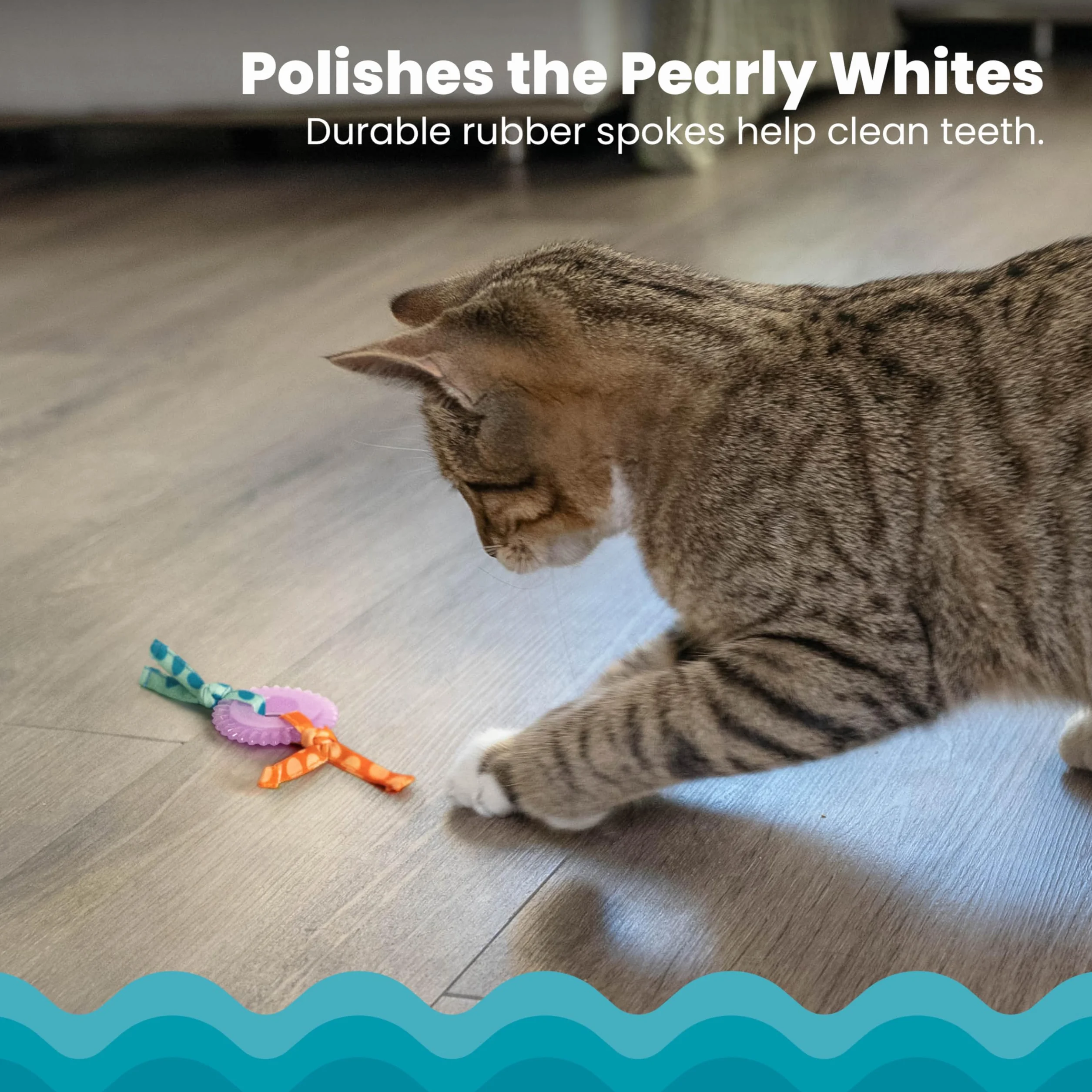 Petstages Dental Kitty Chew Wheel Zabawka dla kotów z kocimiętką wielobarwna