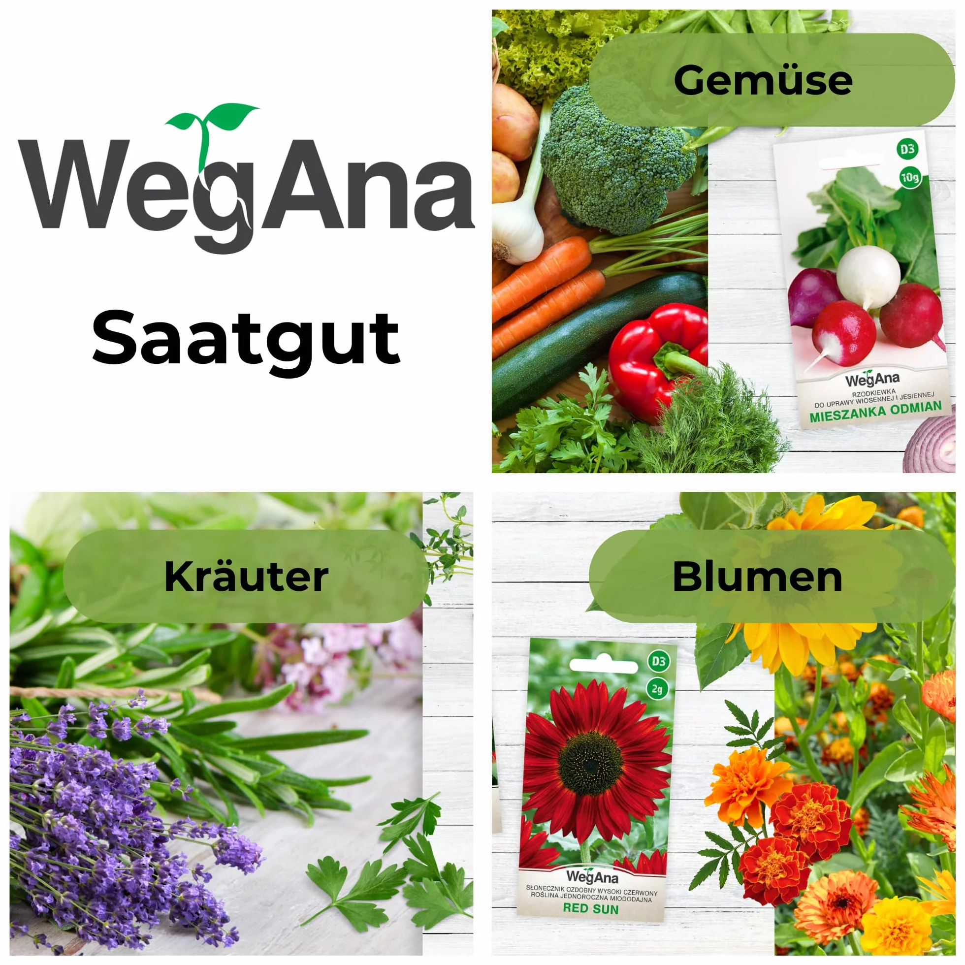 Ogórek gruntowy Śremski F1 4g - WegAna