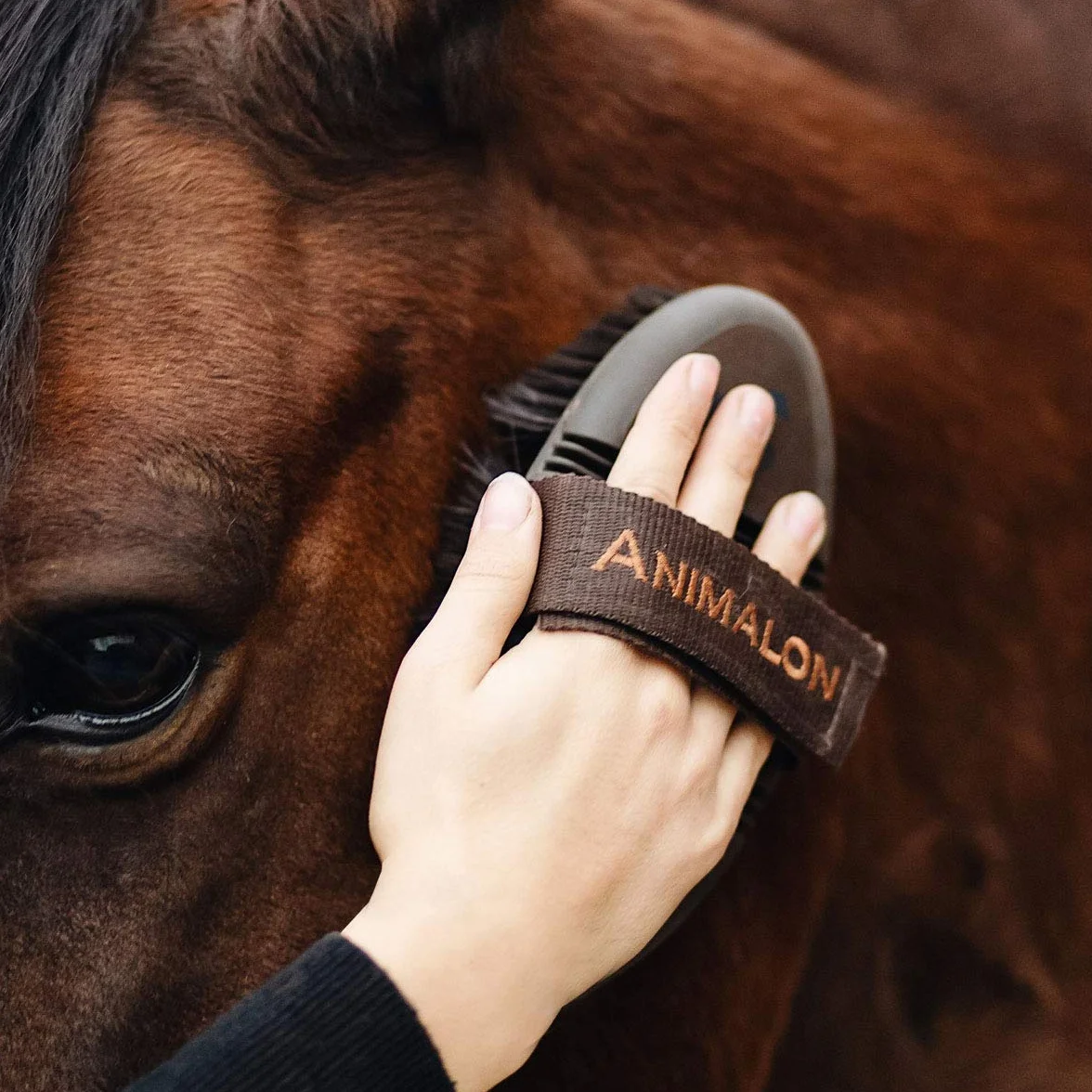 Animalon CareFlex szczotka pielęgnacyjna, elastyczna i ergonomiczna szczotka dla koni z zapięciem na rzep, do każdego boksu pielęgnacyjnego, akcesoria dla koni