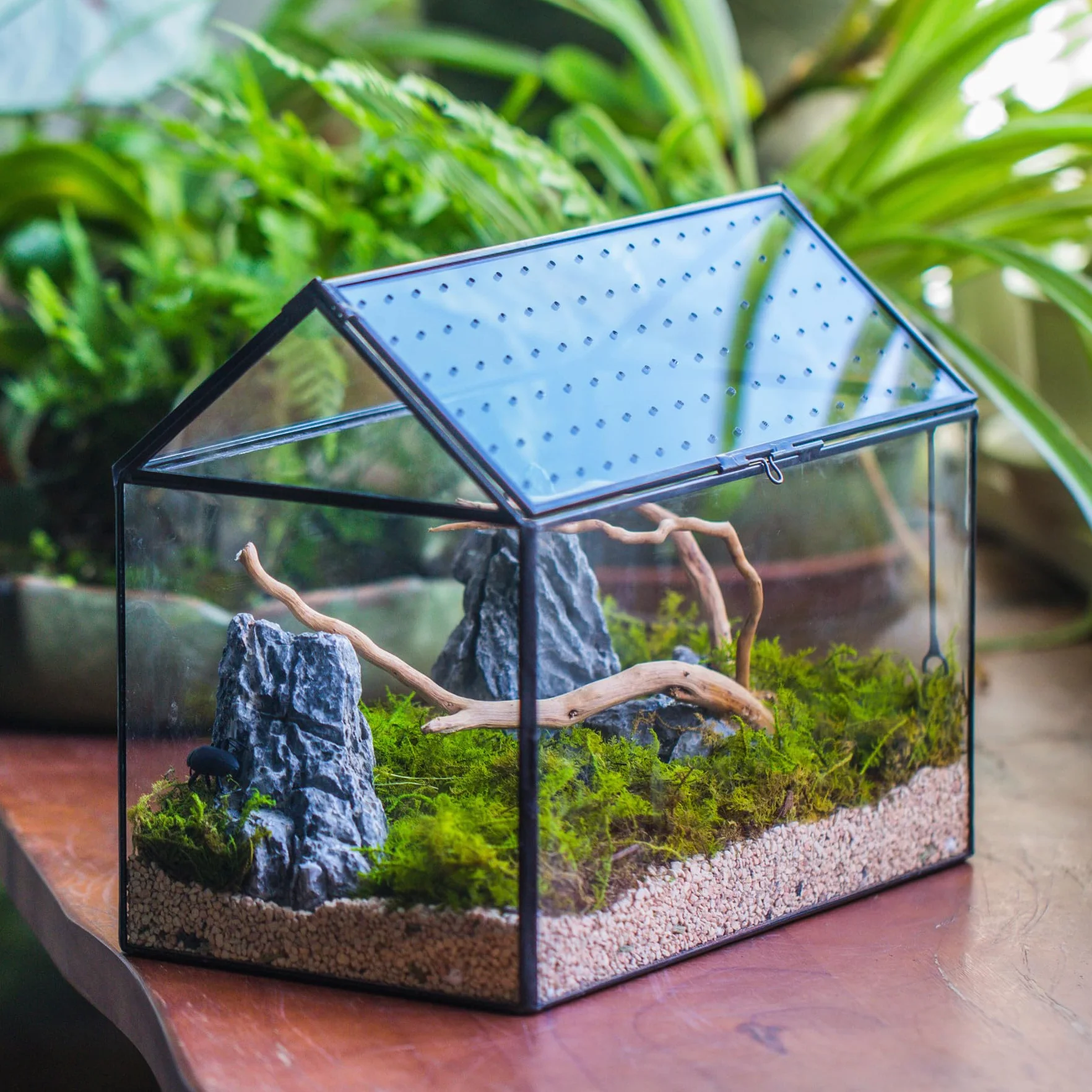 NCYP Szklane terrarium w kształcie domu z akrylową pokrywką, duże, geometryczne pudełko terrarium na ślimaki, paprocie, sukulenty, rośliny powietrzne, czarna dekoracja blatu (bez roślin)