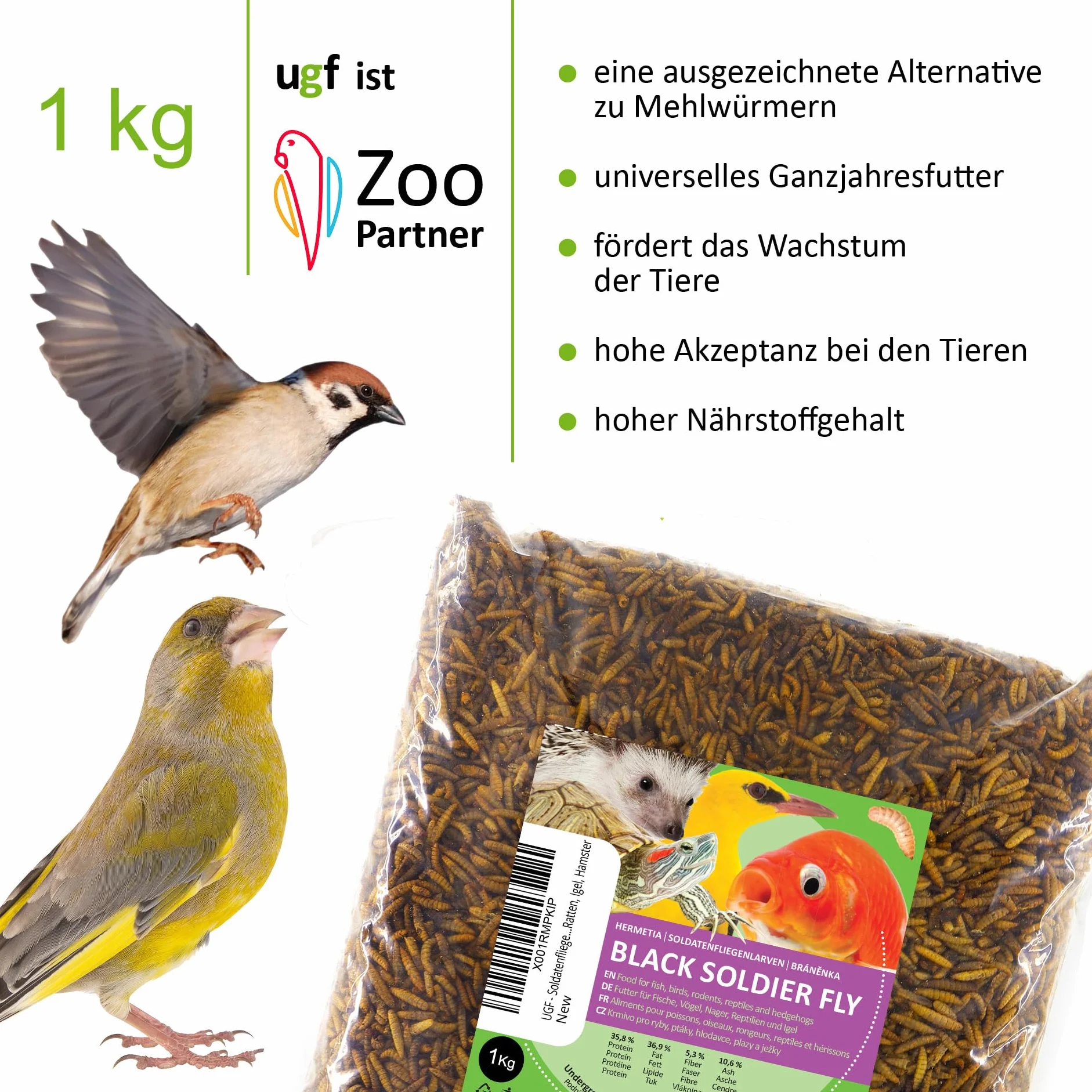 Hermetia BSFL larwy muszek żołnierskich 1 kg karma dla dzikich ptaków żółwi szczurów jeży chomików
