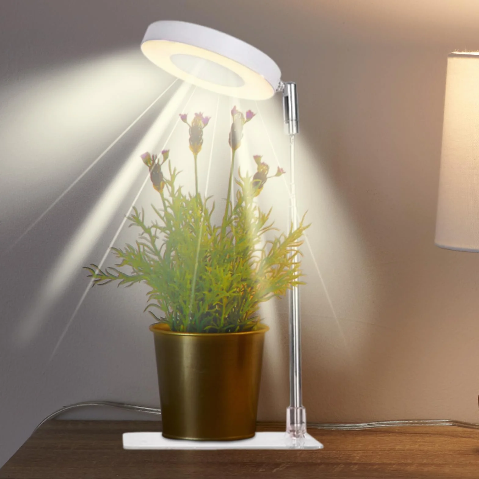 Plant Light, Dimmable LED Grow Lamp with Timer for Indoor Plants, 5W Hydroponics, Greenhouse, Flower Growth, Vegetable Farming, Bonsai Care, and Adjustable Brightness, 8.8x1.2cm