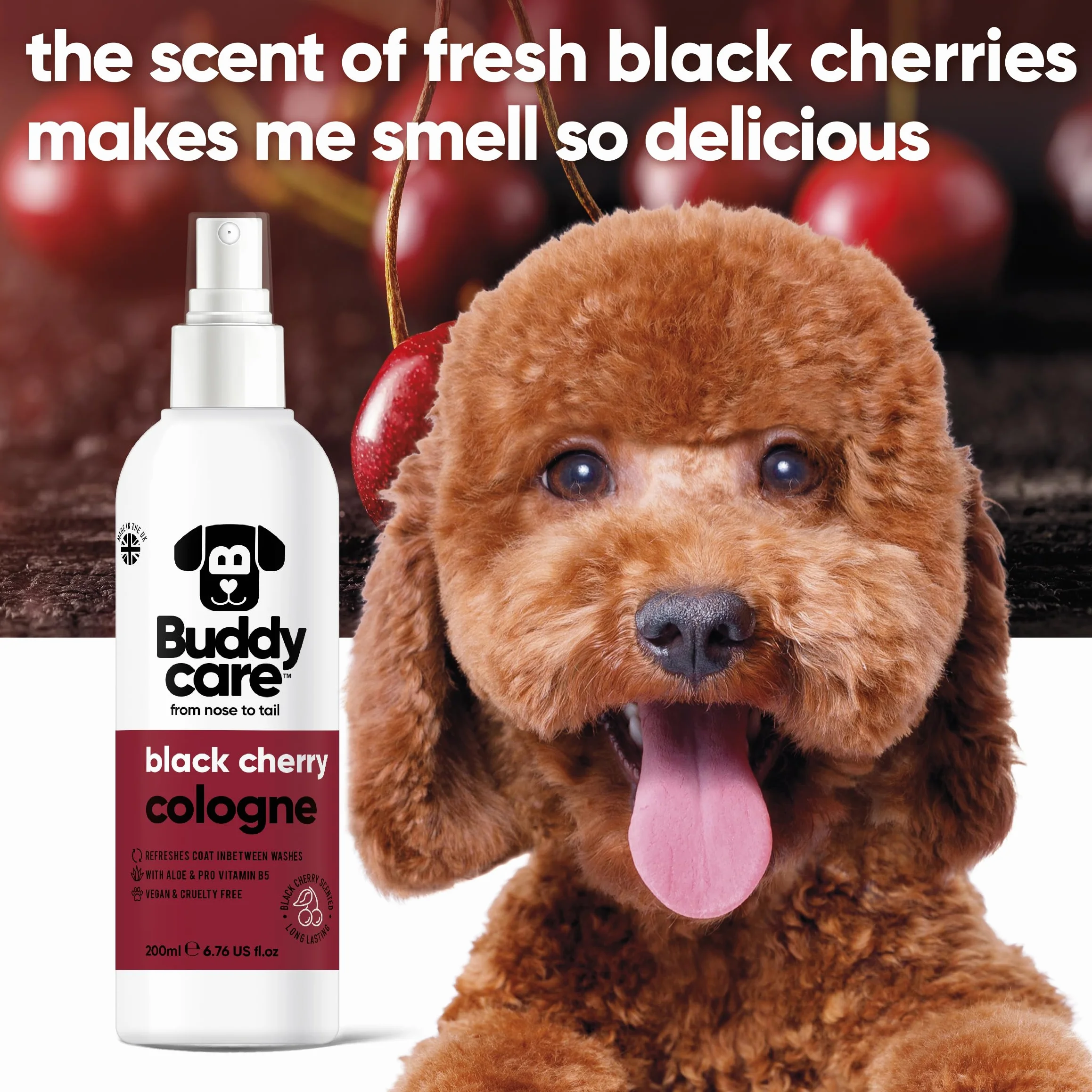 Buddycare Pies Coloński 200 ml czarna wiśnia odświeża między myciami psa
