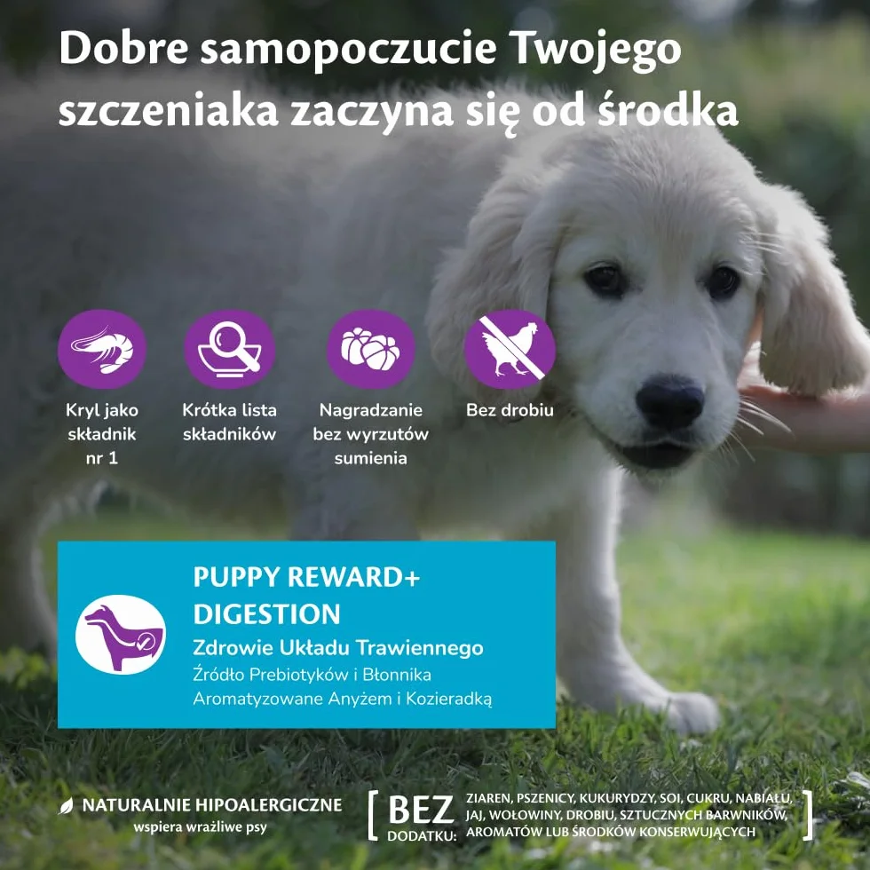 Wellness CORE Puppy Reward+ Trawienie 170 g, Ocean, Kryl – miękkie przysmaki dla psów, bezzbożowe, naturalne, hipoalergiczne, bogate w białko, o wysokiej zawartości ryb, wspomagające zdrowe trawienie