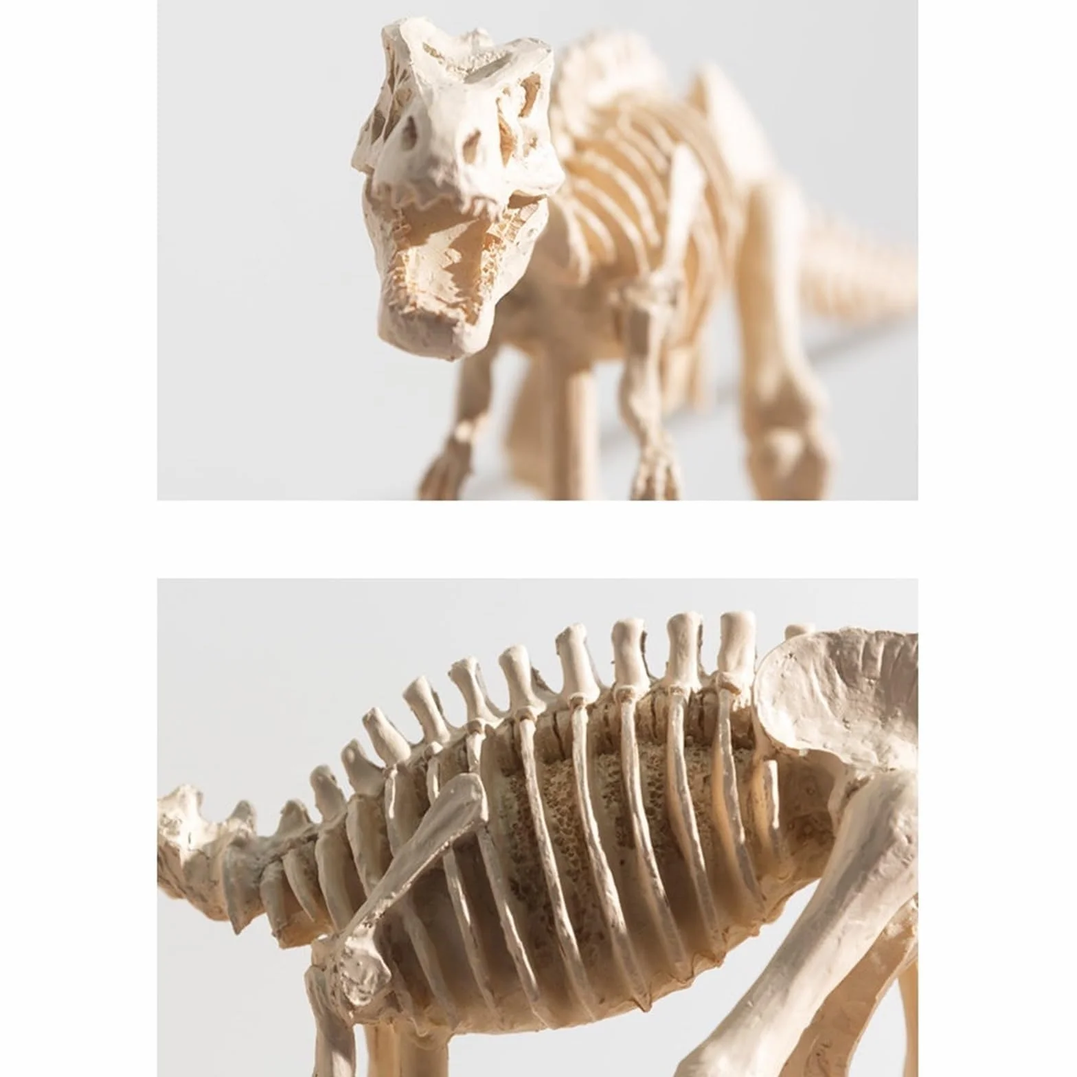 Dekoracje Stołu Realistyczna rzeźba szkieletu Tyrannosaurus Rex żywica dinozaur skamielina wystrój edukacyjna figurka kolekcjonerska Statua Sztuki