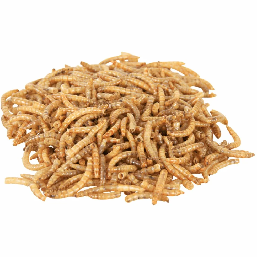Trixie Robaki mąki, Odwodniony, 70g