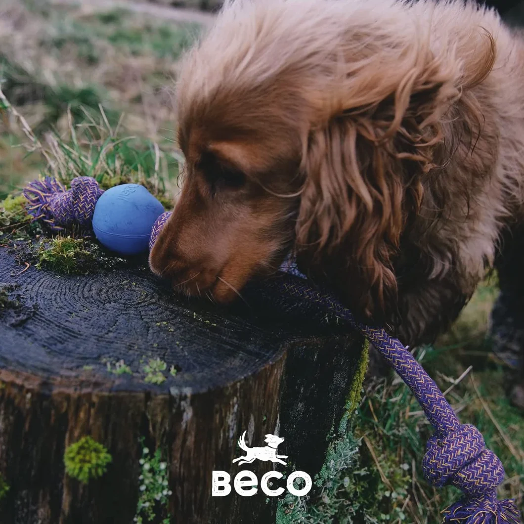 Beco Ball na linie - kulka z naturalnej gumy i bawełniana lina do przeciągania zabawka dla psów różowa