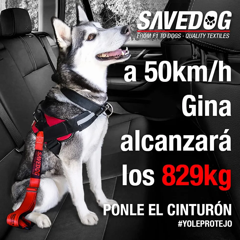 PONSA SAVEDOG. Pas bezpieczeństwa dla psów. Najbezpieczniejszy pas na rynku. Nośność 1000 kg. Spełnia wymagania ISO 27955:2010. Ref.027172050102