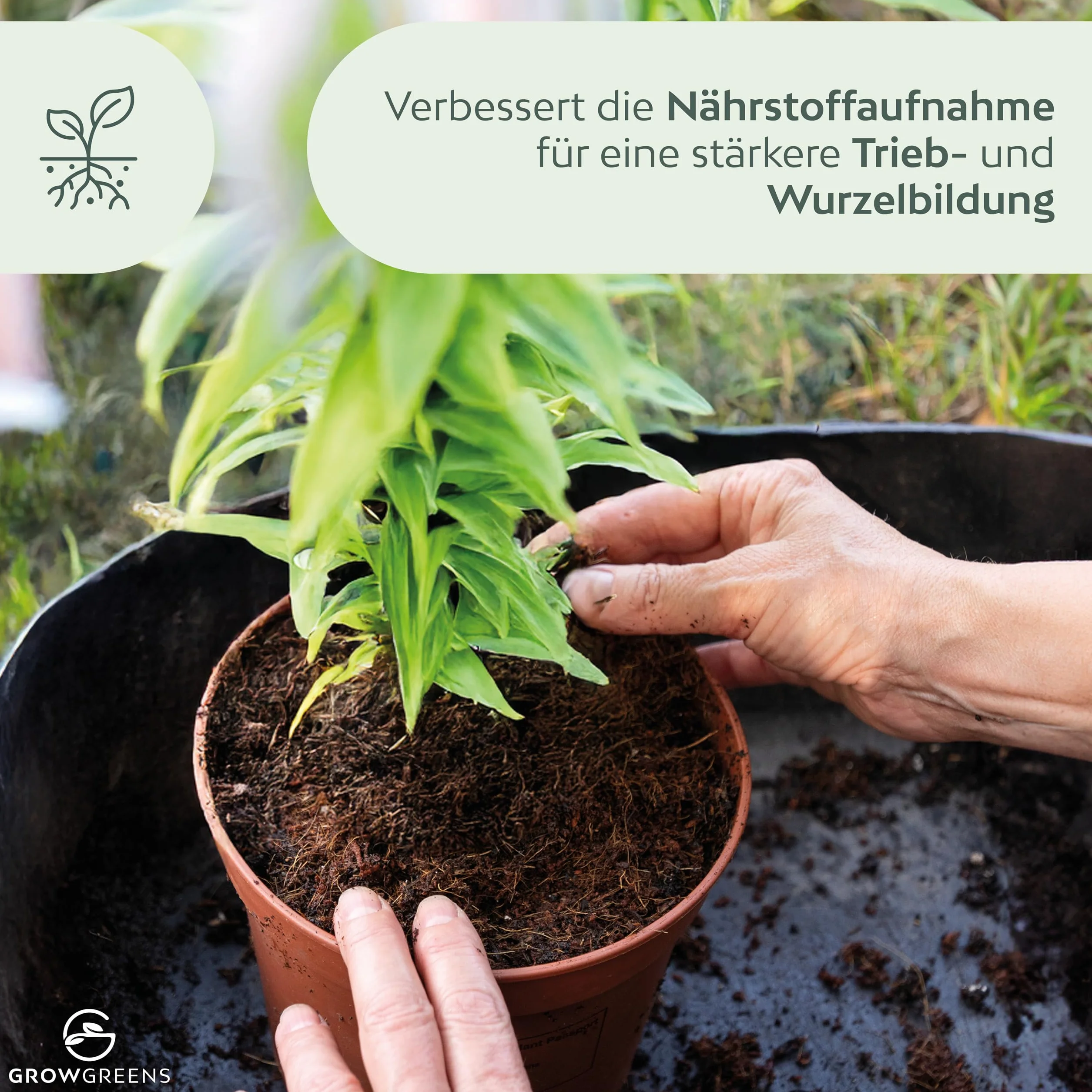 Organiczna ziemia kokosowa skompresowana w nadmuchiwanym worku - biodegradowalna ziemia bez torfu, składa się w 100% z włókna kokosowego (3 litry, 1 sztuka)