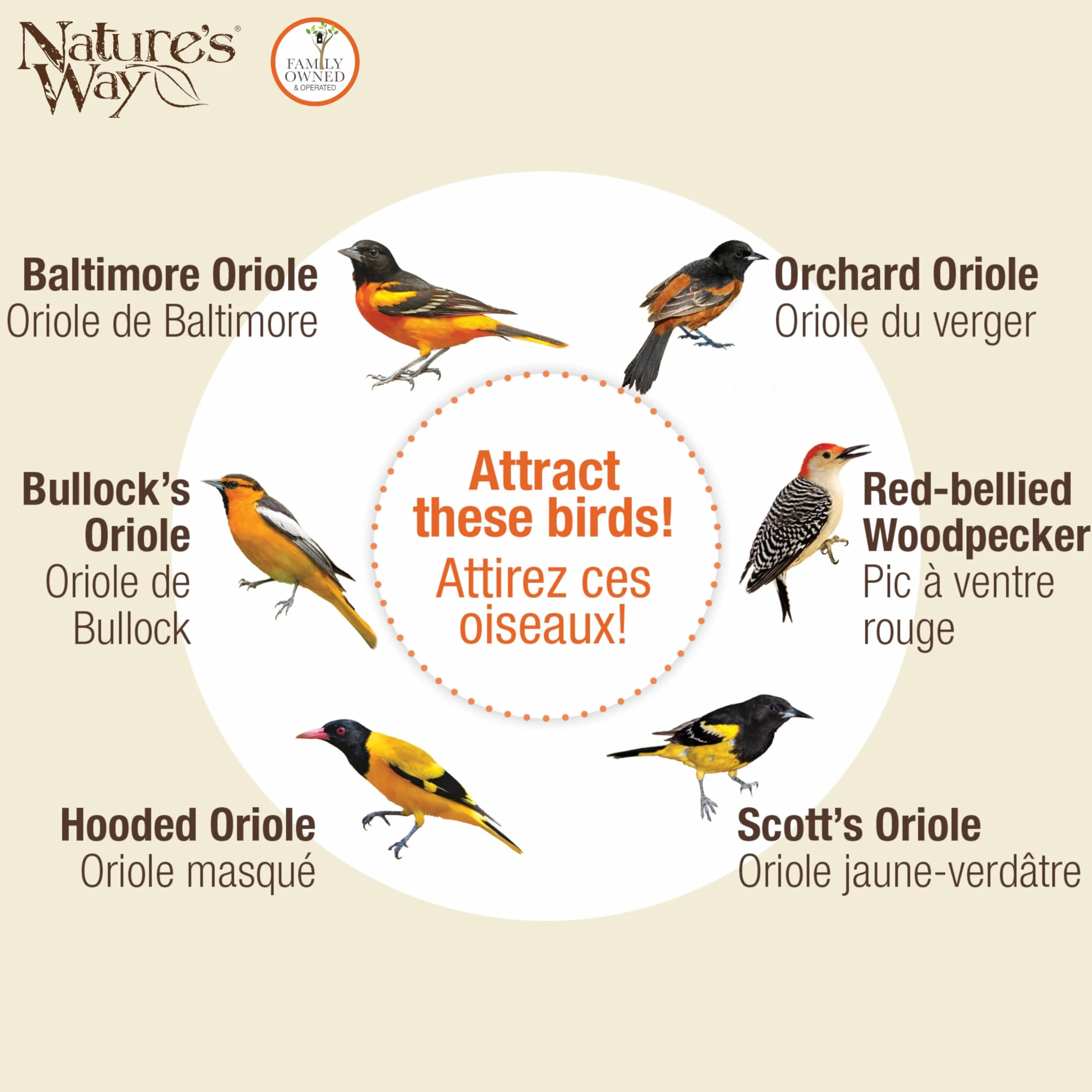 Nature's Way OFP1 All-in-One Oriole Buffet karmnik dla ptaków, pomarańczowy
