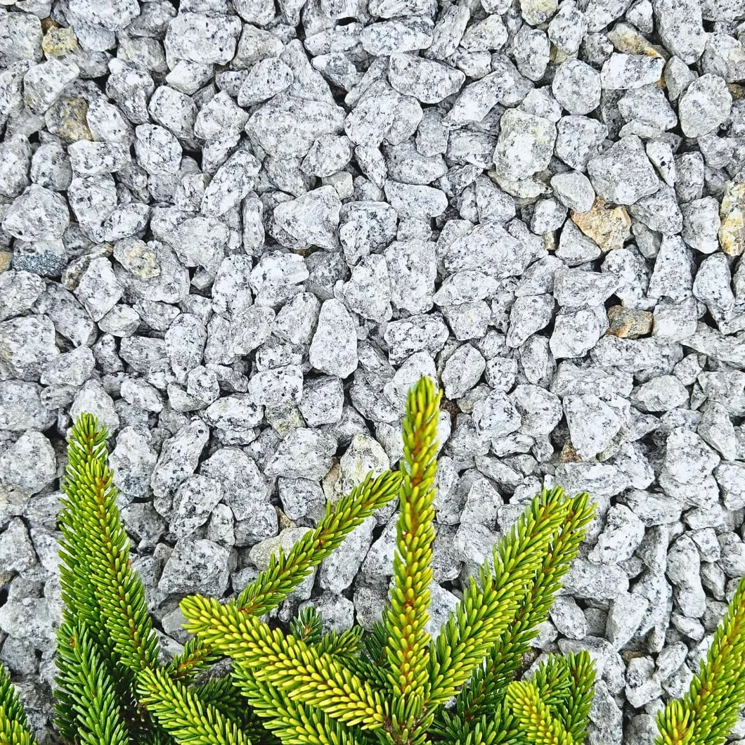 Feniks Granit 8-16 mm - 20 kg Grys Granitowy | Kamień naturalny do ogrodu | Grys | Dalmatyńczyk