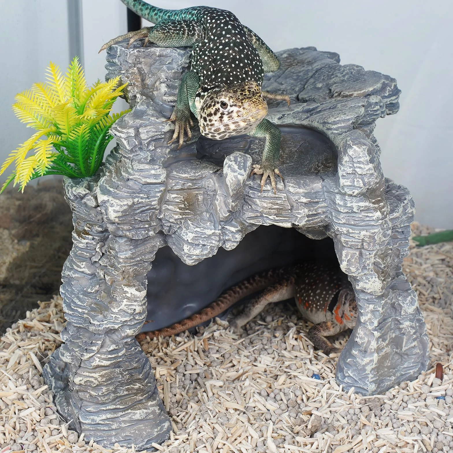 Żywica duża skóra gadów, terraria, akwaria, akcesoria, dekoracje dla gadów, płazów i ryb