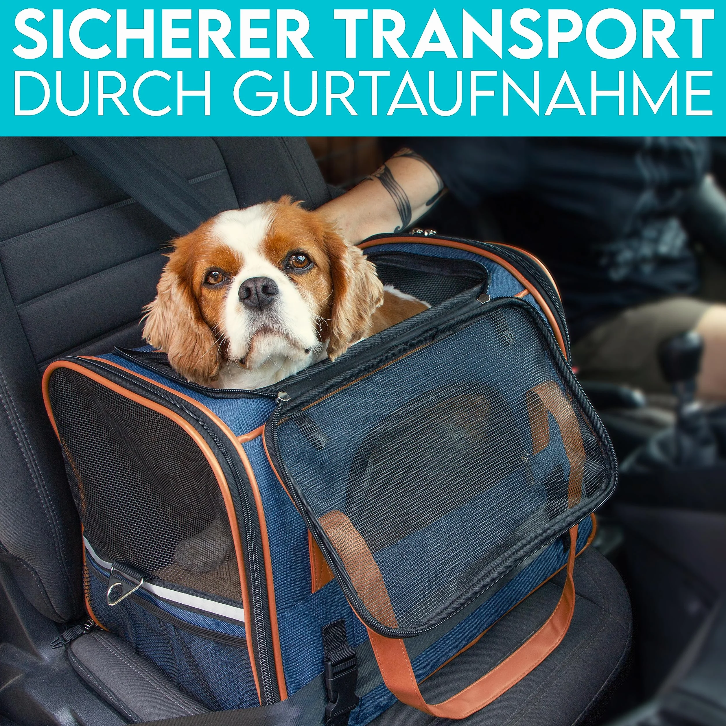 HUND IST KÖNIG Torba transportowa dla psa i kota do 6,5 kg
