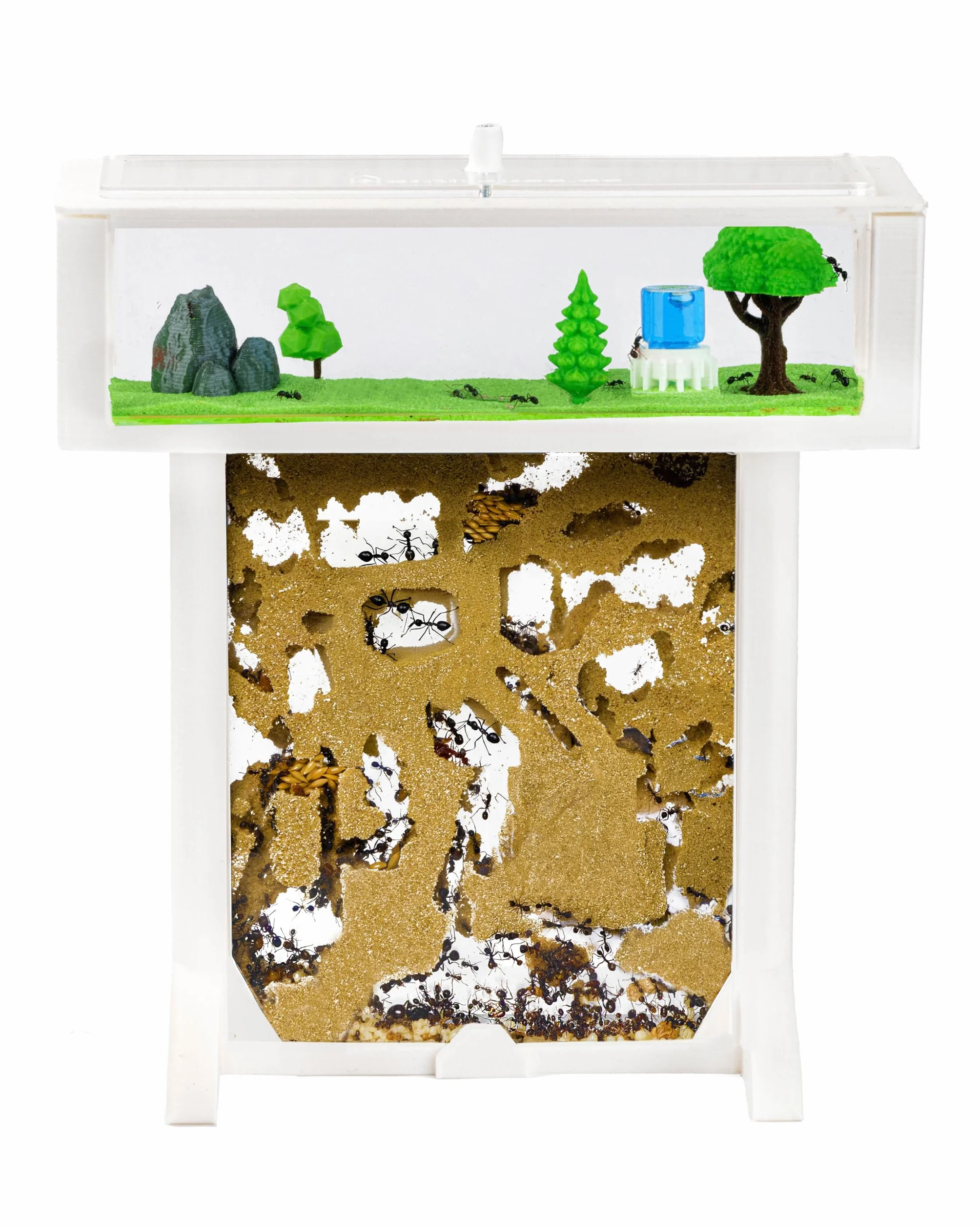 AntHouse Formikarium 3D z naturalnym piaskiem biały 15 x 15 x 1,5 cm zestaw T
