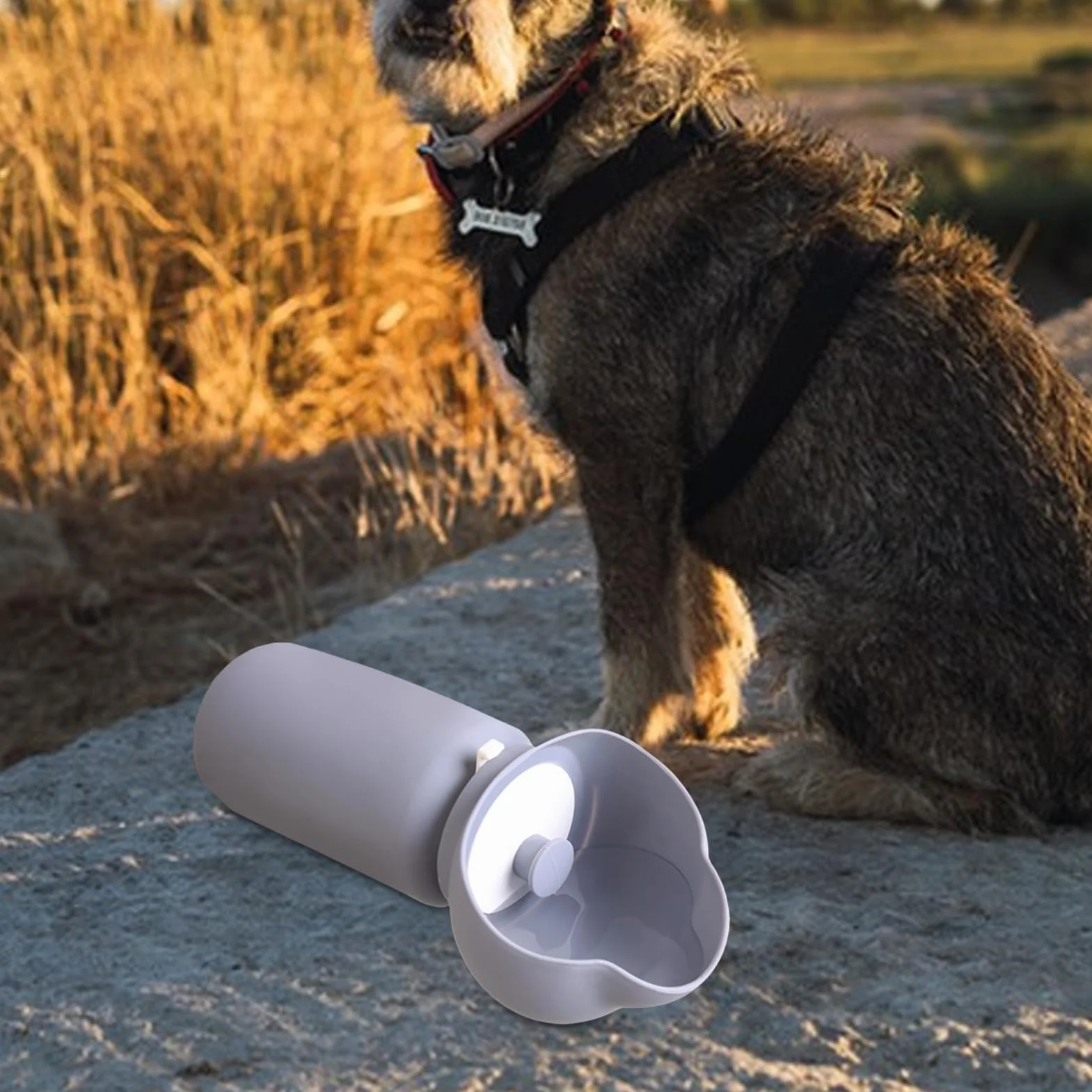 Foldable Leak-Proof Dog Water Bottle for Outdoor Travel Hiking Camping