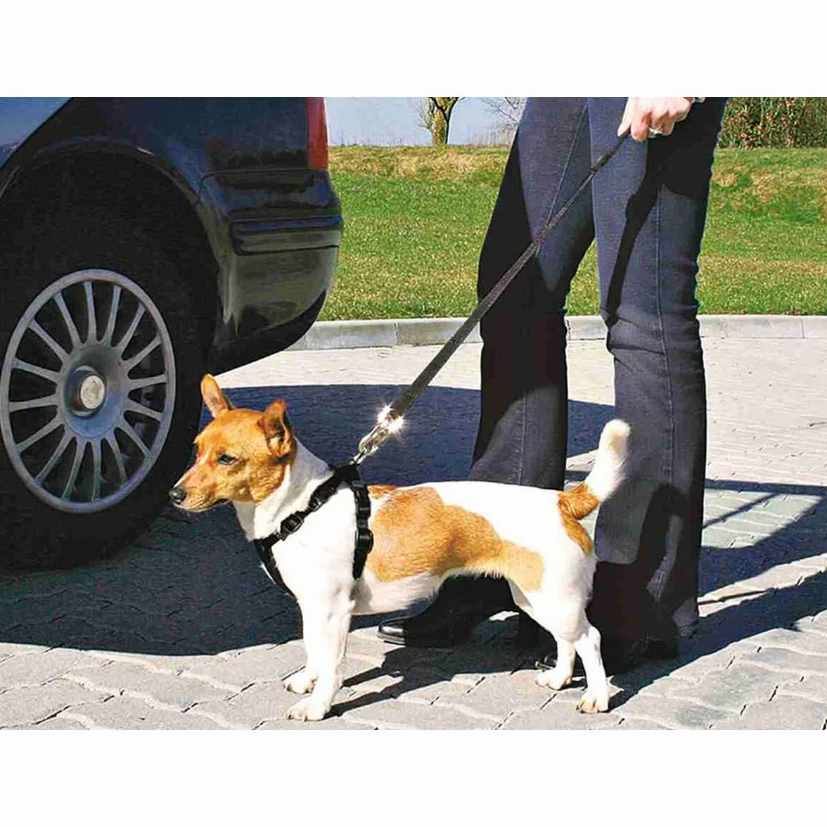 Szelki bezpieczeństwa DOG Copenhagen Trixie do samochodu Rozmiar XS 1 sztuka