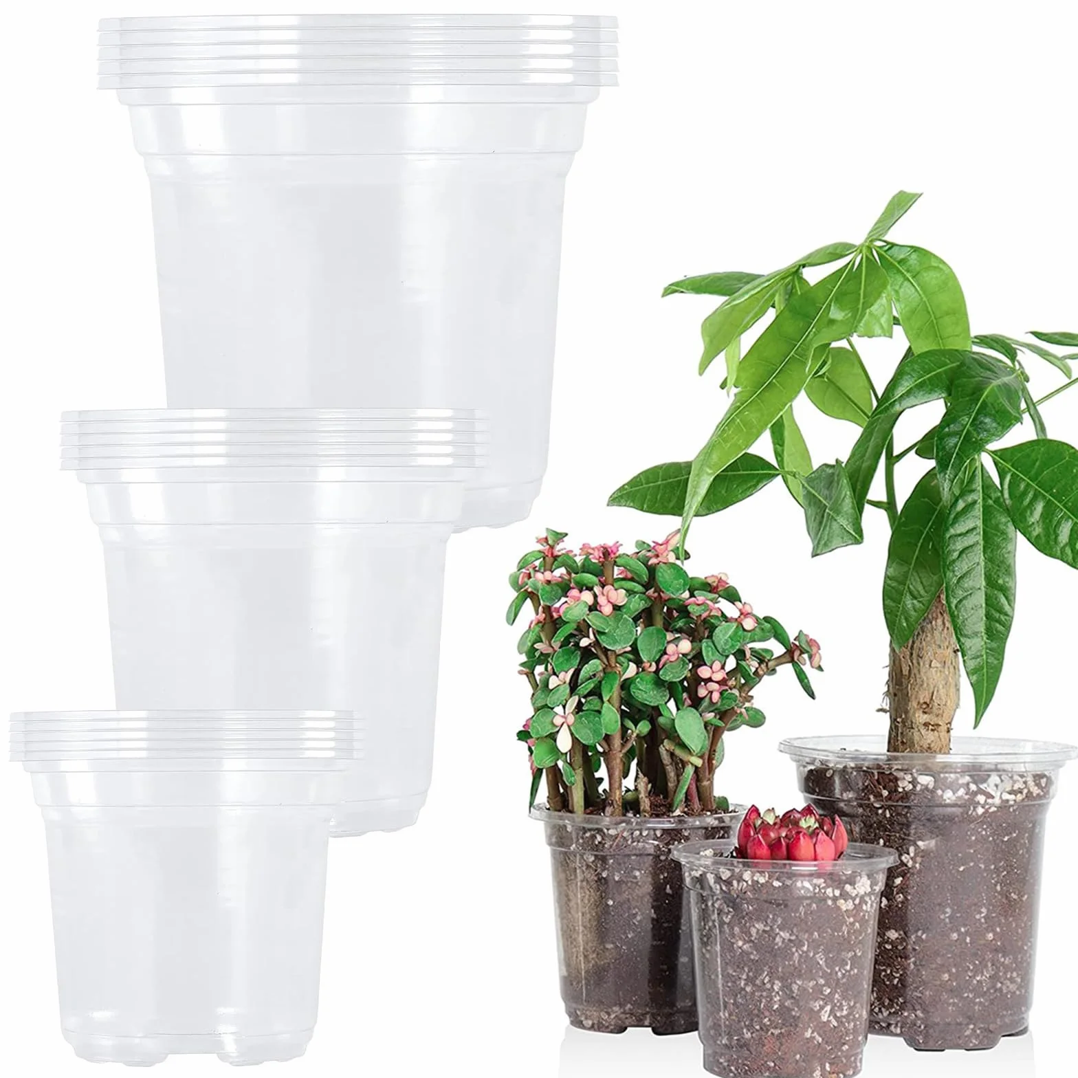 15 Plastikowych Doniczek Do Sadzonek – Przezroczyste Pojemniki Do Uprawy z Otworami Drenażowymi, 3 Rozmiary (9/10/13 Cm), Odpowiednie Dla Kaktusów i Sukulentów (15)