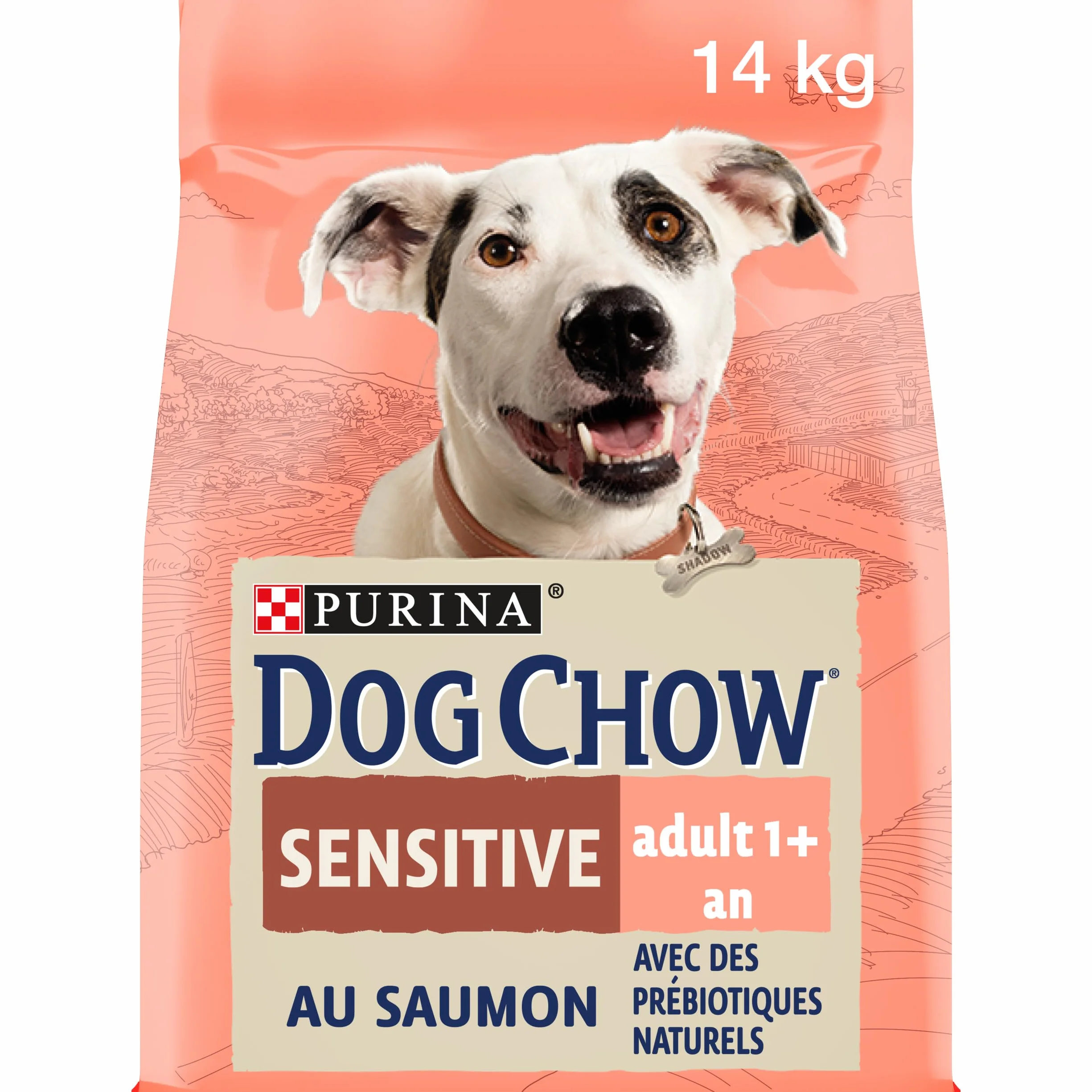 DOG CHOW Wrażliwe karma dla psów z łososiem 14 kg