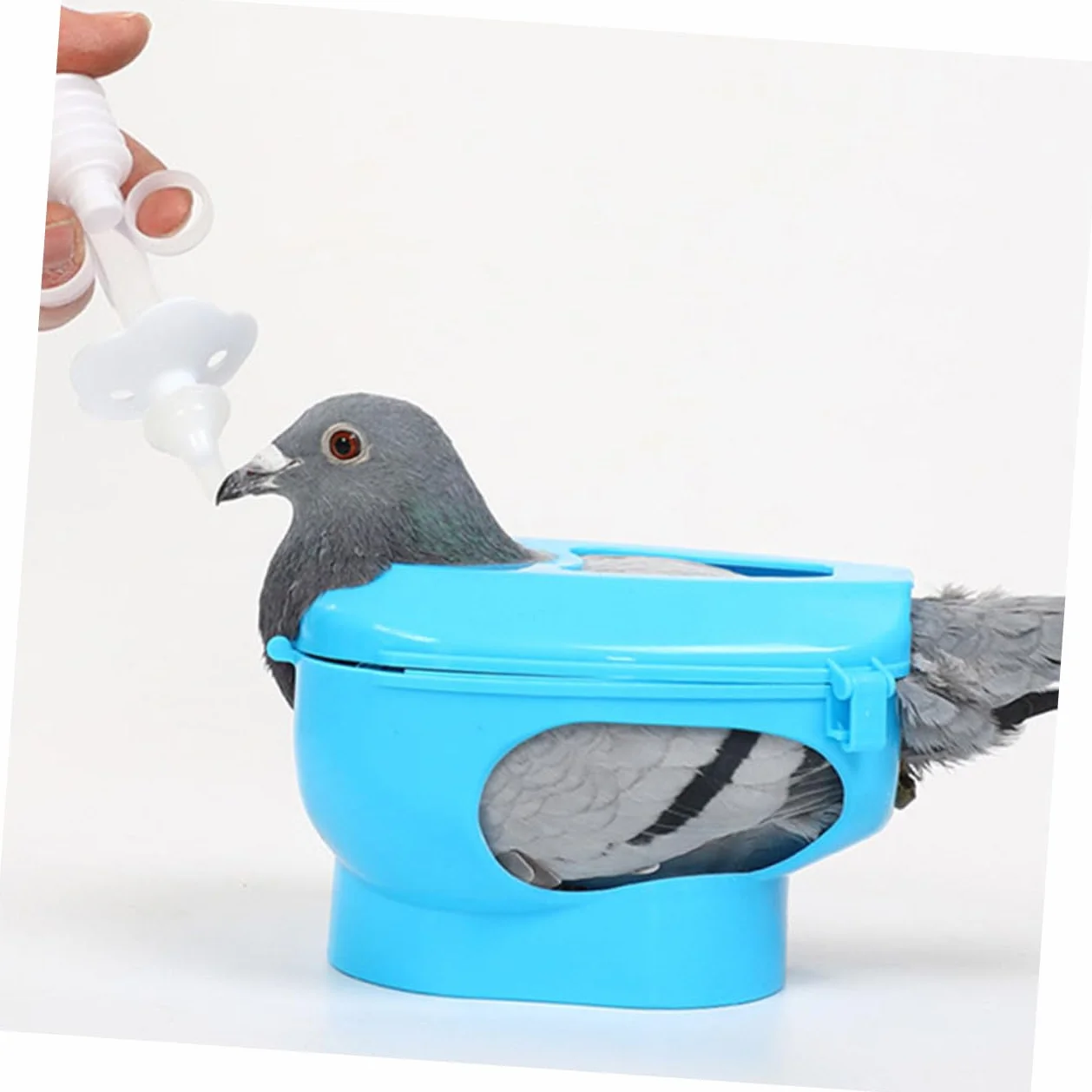 Toyvian 2 Szt. Niebieskich Plastikowych Uchwytów Do Iniekcji dla Gołębi Ramka Mocująca Do Karmienia i Leczenia Gołębi Praktyczny Stojak Ptaki z Ażurowym Wzorem