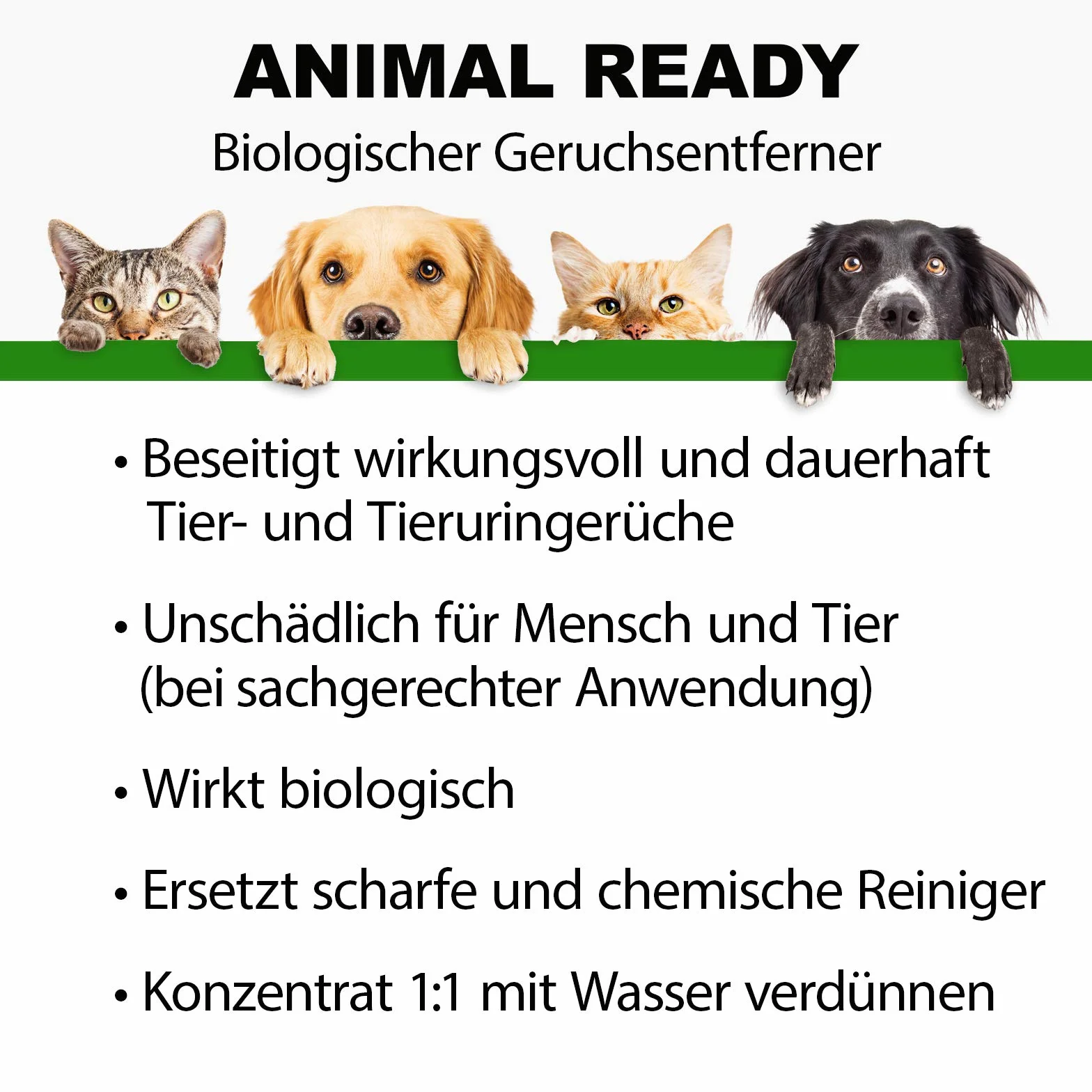 BactoDes Animal Ready enzymatyczny środek do usuwania zapachów i plam w sprayu 1 l