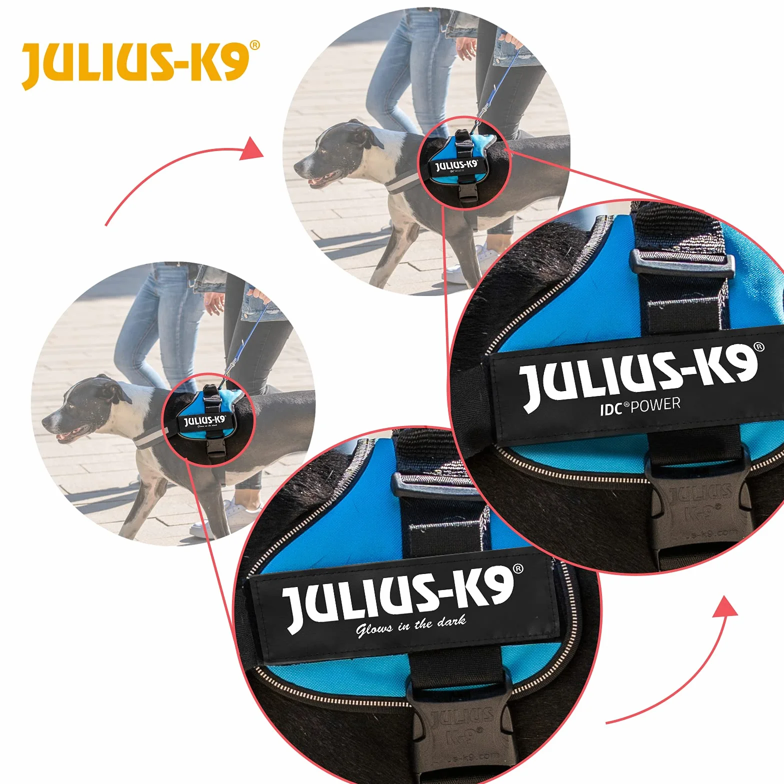 Julius-K9 K9 Powerharness rozmiar 3 indygo