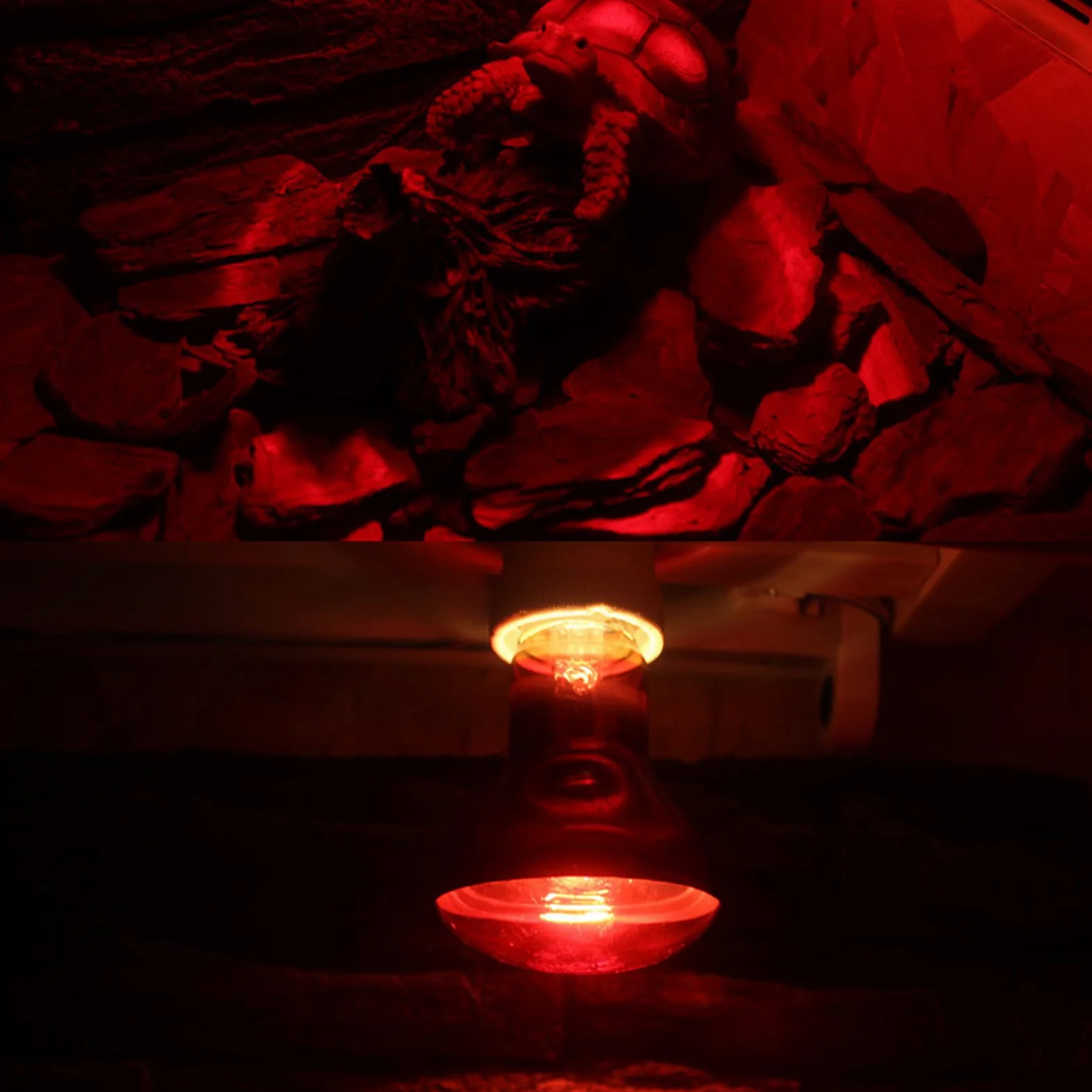 Yinhing Lampa Grzewcza na podczerwień 50 W Szkło Kwarcowe dla żółwi, węży i jaszczurek