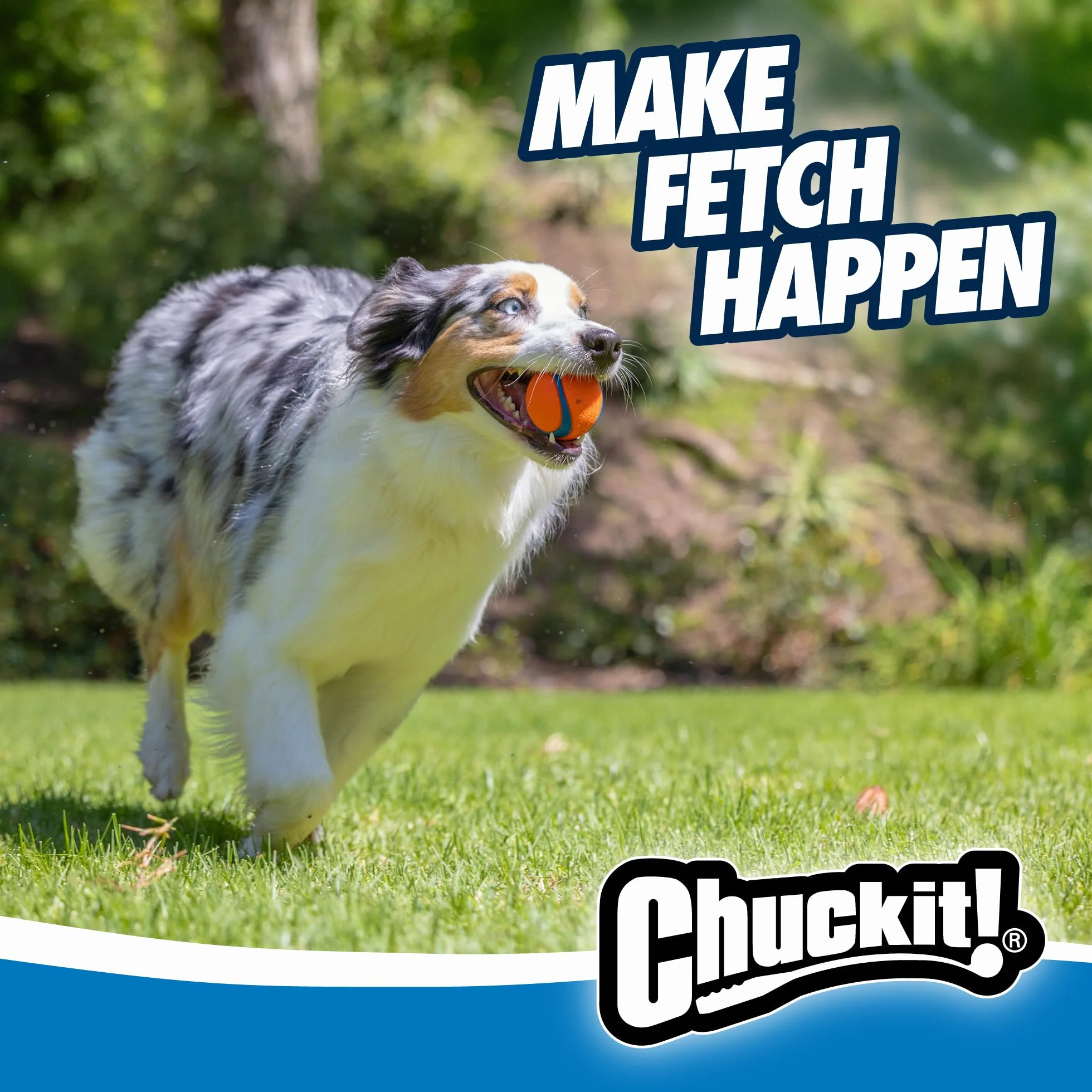 Chuckit! Ultra Ball Piłka dla Psów, Niebieski/Pomarańczowy, M/Ø 6.5 cm