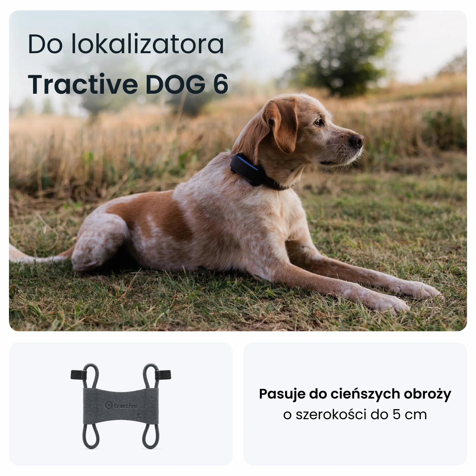 Tractive klips z tkaniny x2 duży czarny do lokalizatora GPS DOG 6