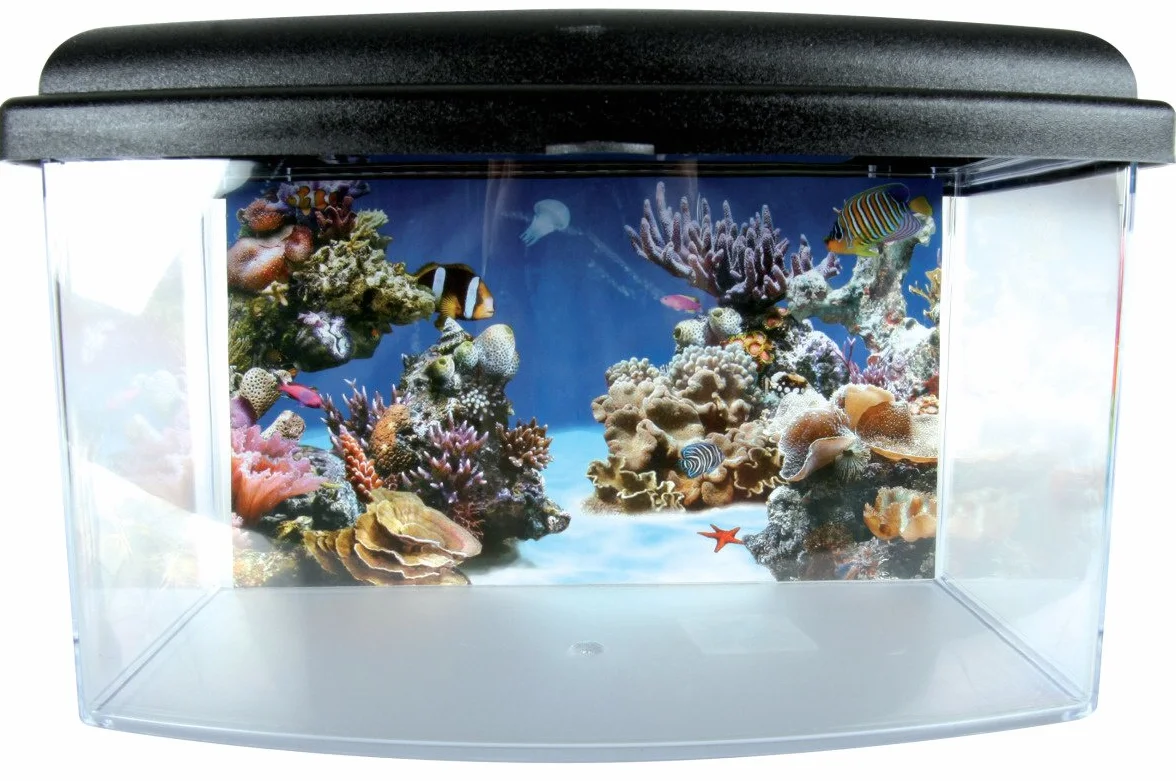 Zolux TravelBox II Akwarium Transportowe 22 cm