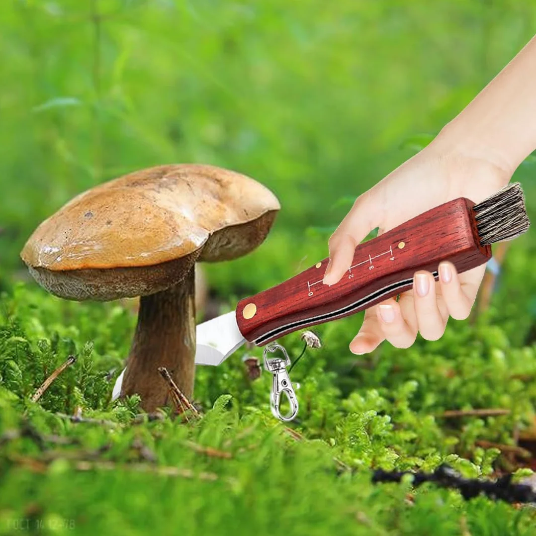 HONGECB Nóż Grzybowy ze Szczotką, Składany, 21 cm, Stal Nierdzewna, Funkcjonalny