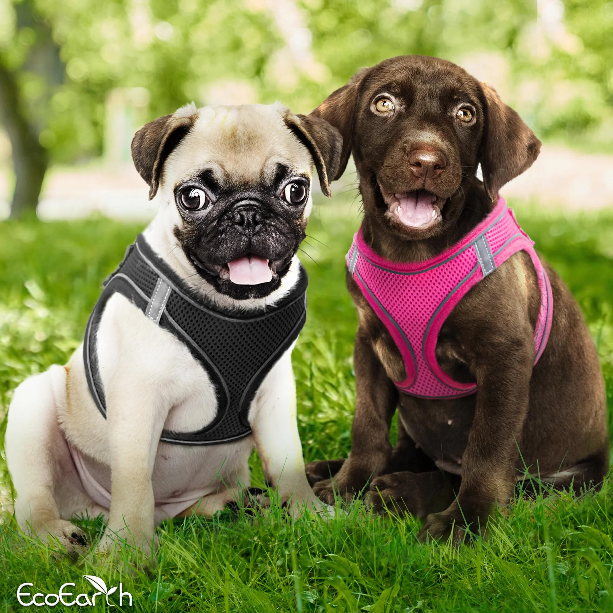 EcoEarth Dog Harness and Leash Set Large Black Soft Padded No Pull Reflective for Small Medium Dogs