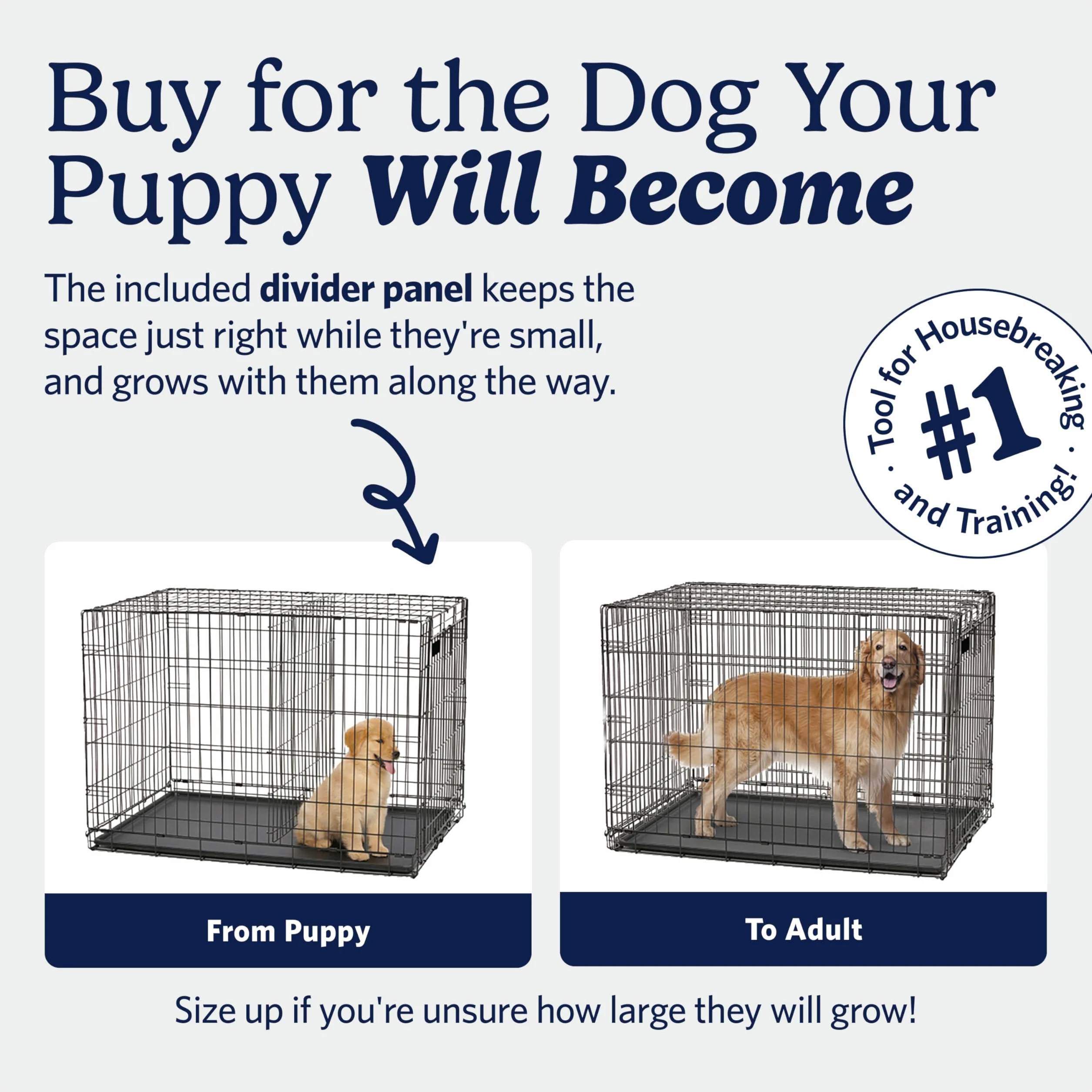 MidWest Homes for Pets iCrate 45,72 cm skrzynia dla psa 18 cali
