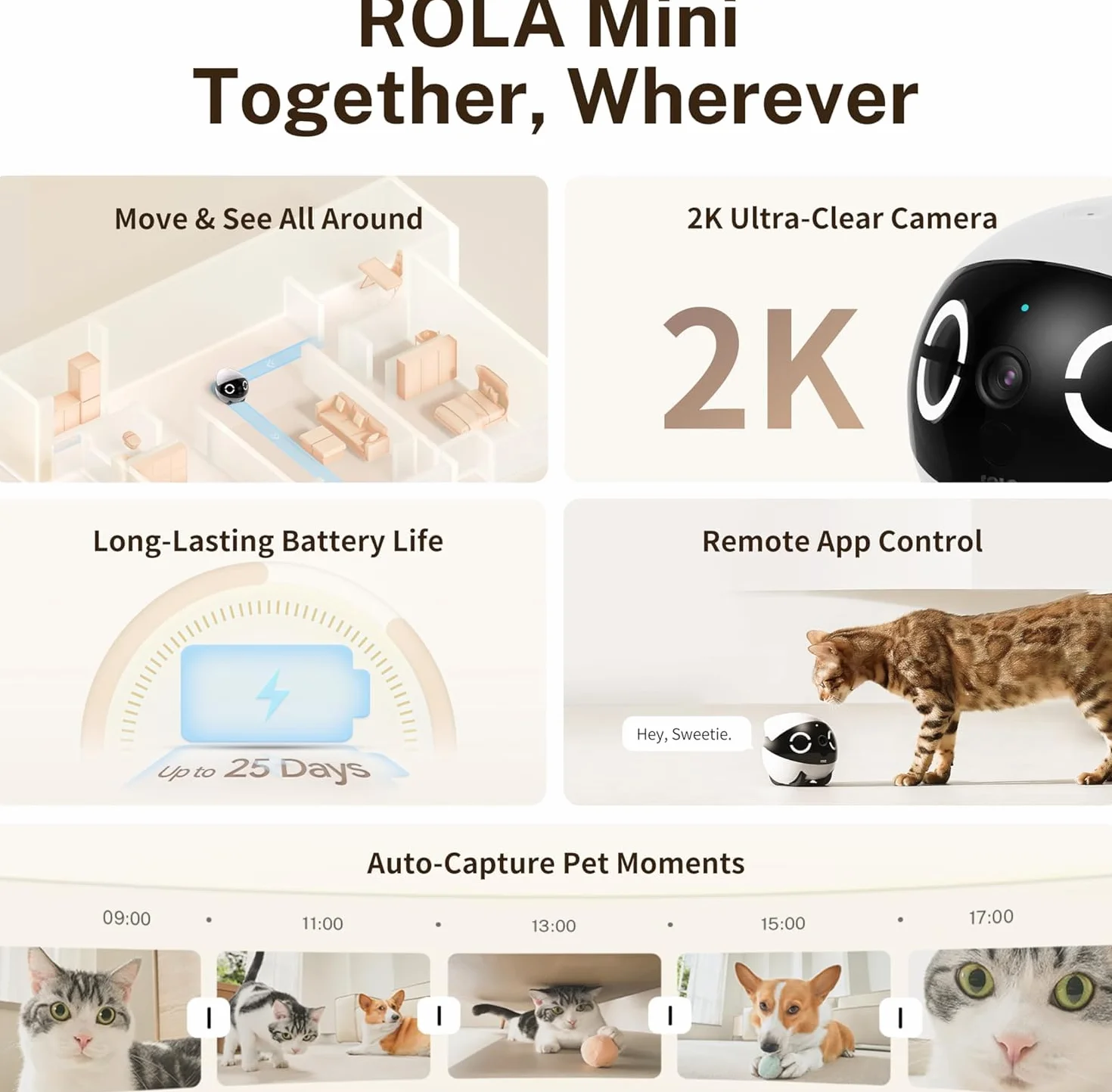 Enabot ROLA Mini robot towarzyszący dla zwierząt domowych
