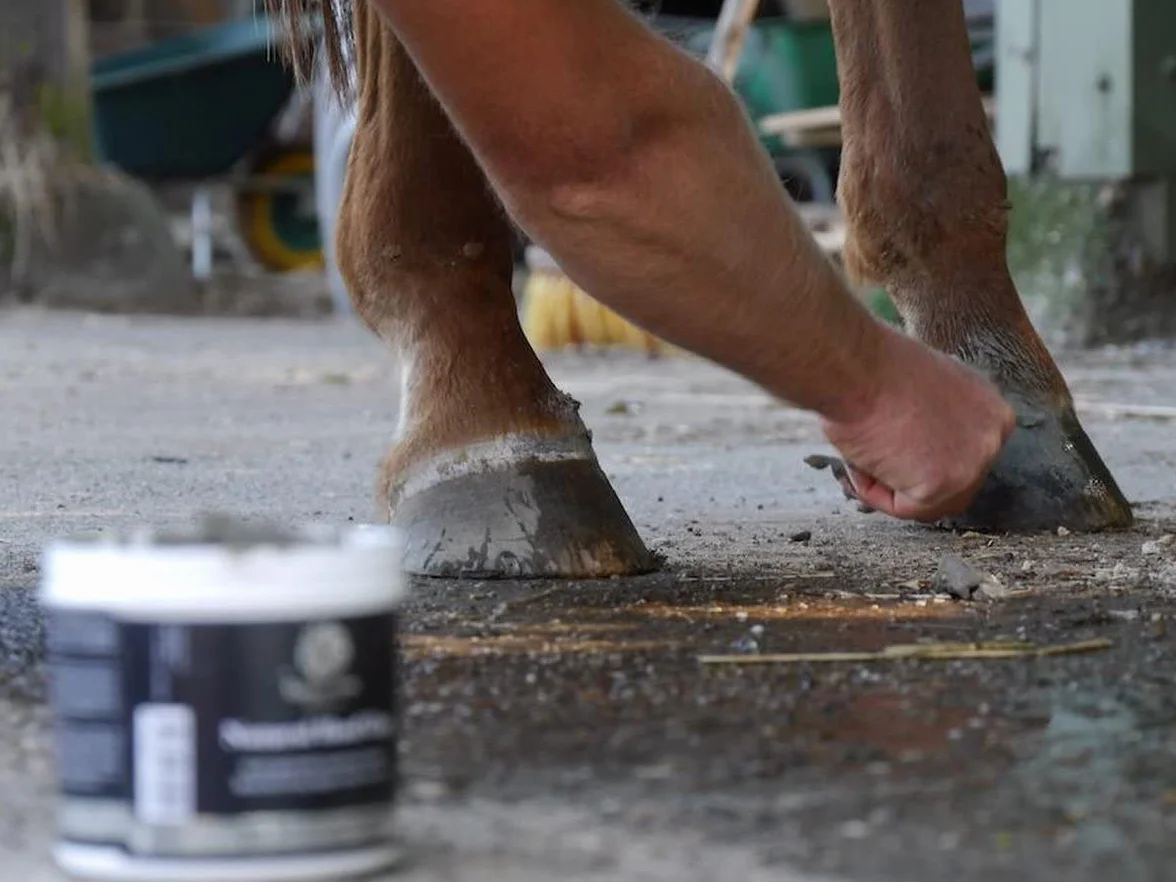 Natural Hoof Clay 600 g ochrona kopyt konia