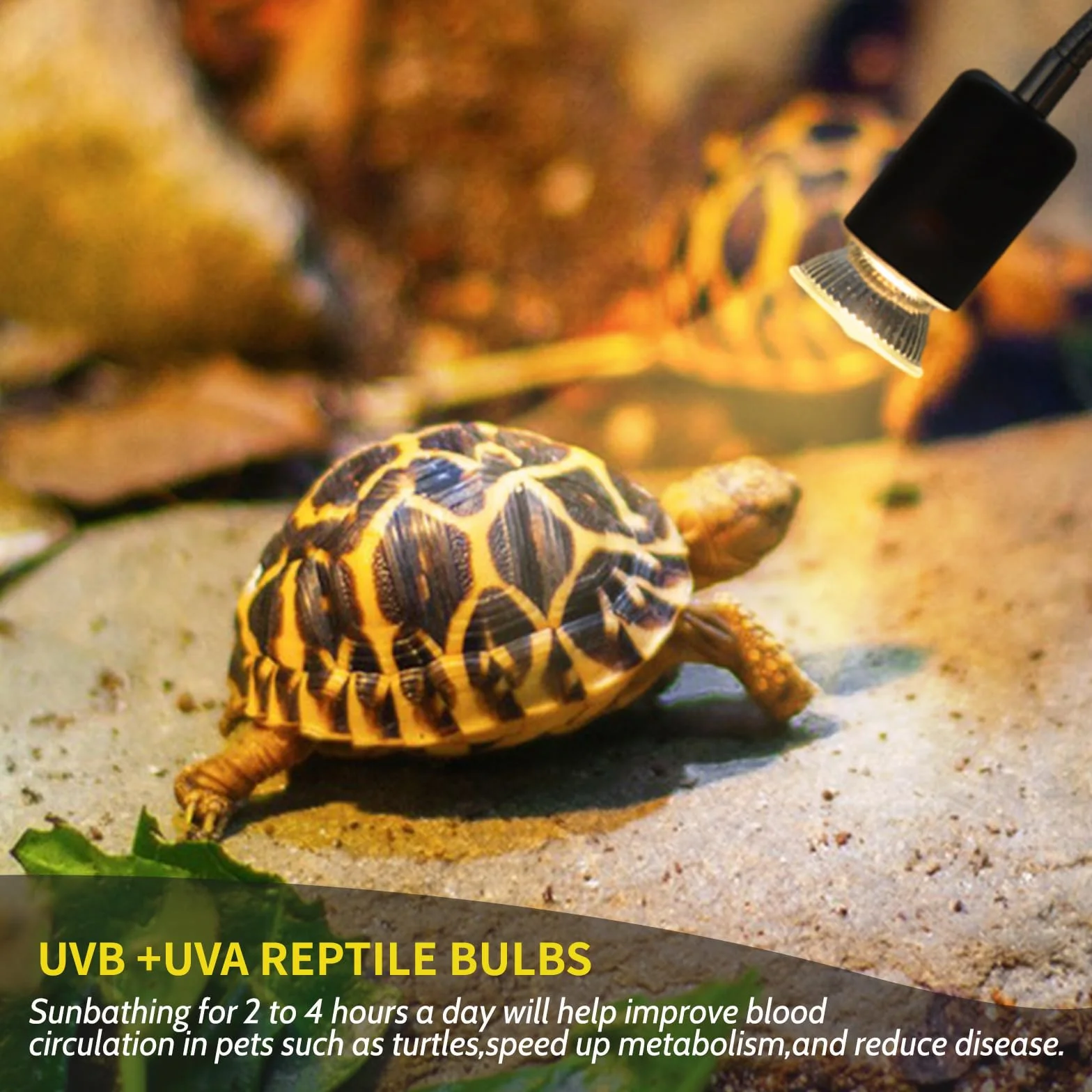 Caldarax Terrarium E27 Lampa grzewcza do ściemniania, 25 W UVA UVB Żółw Ogrzewanie Lampa grzewcza AC 230 V, żarówka gada Ogrzewanie dla żółwi, węży, jaszczurek, płazów, akwarium, zestaw 2 szt