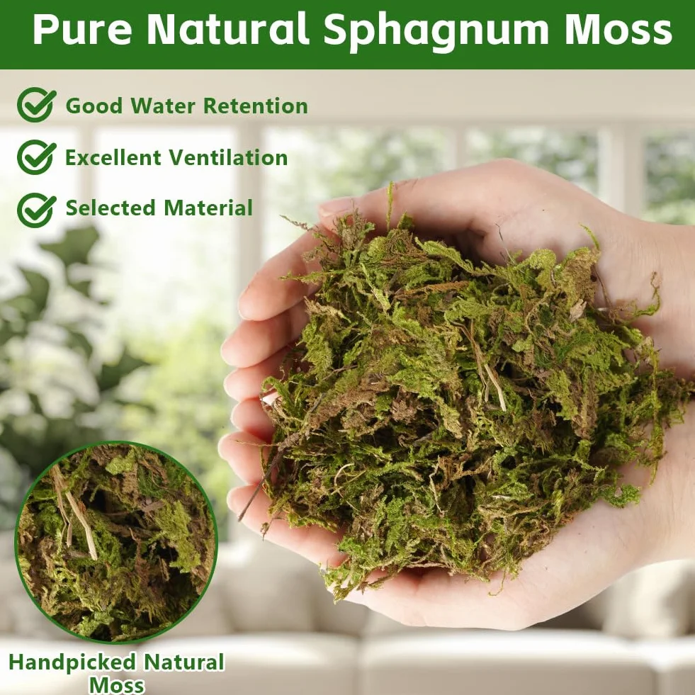ãOFFCUP 500 g premium mchu torfowcowego do terrarium, naturalny mech terrarium, cegła do gadów, torfowca, do storczyków, roślin mięsożernych, sukulentów, kwiatów ogrodowychÓ